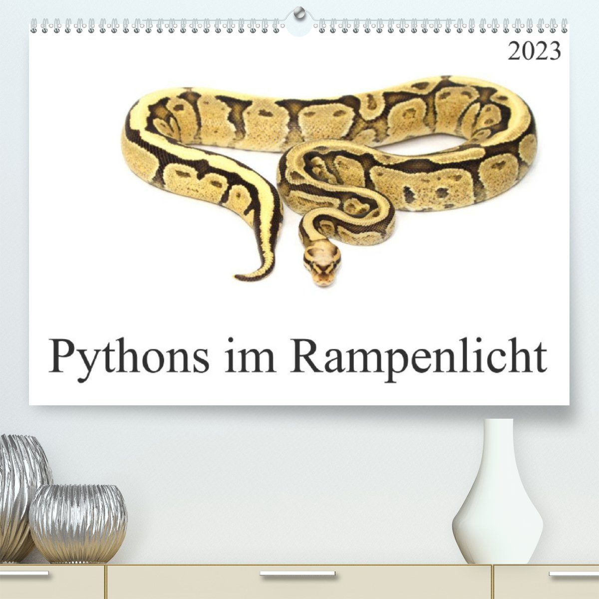 CALVENDO Wandkalender Pythons im Rampenlicht (Premium, hochwertiger DIN A2 Wandkalender 2023, Kunstdruck in Hochglanz)