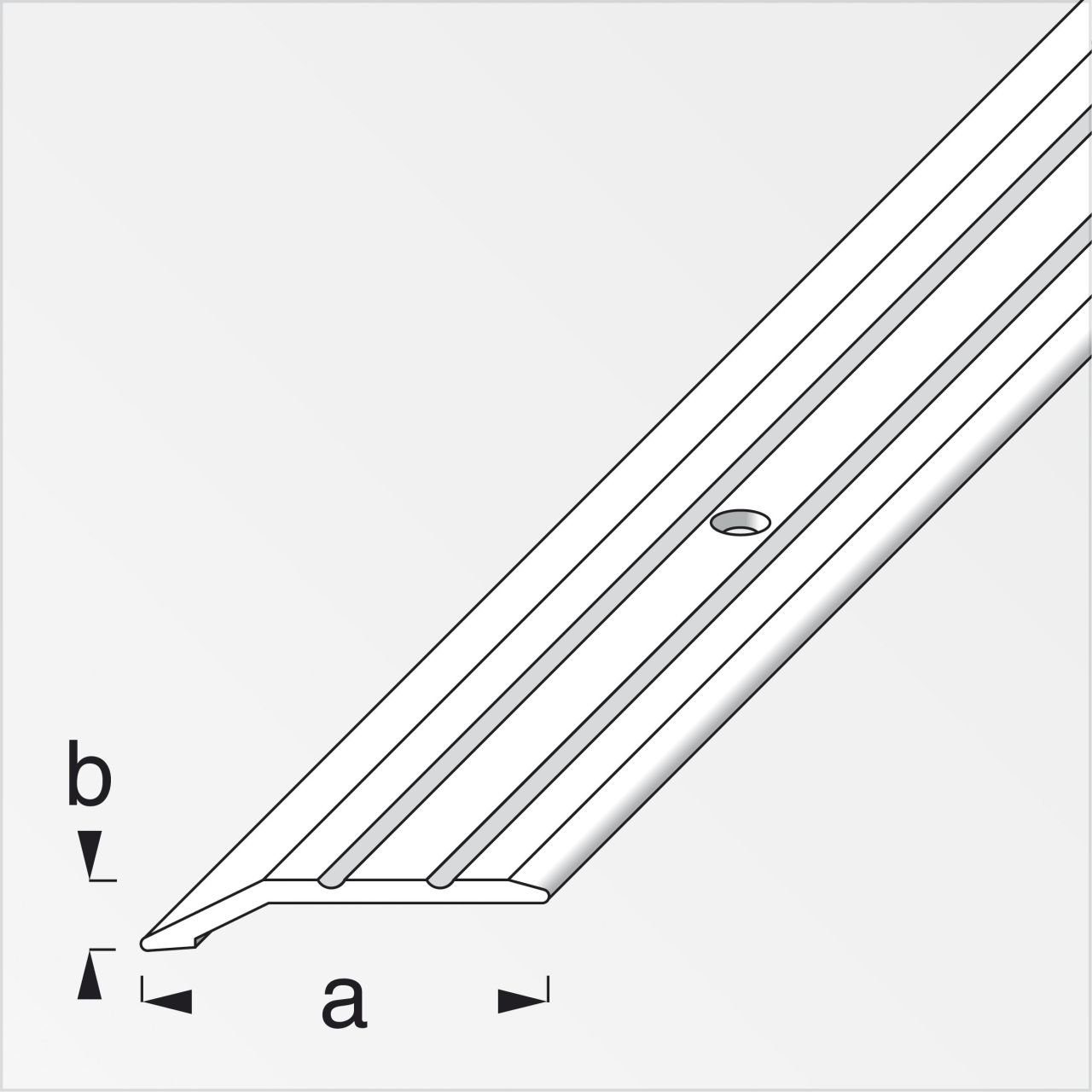 alfer Abschlussprofil alfer Abschlussprofil 1 m, günstig online kaufen