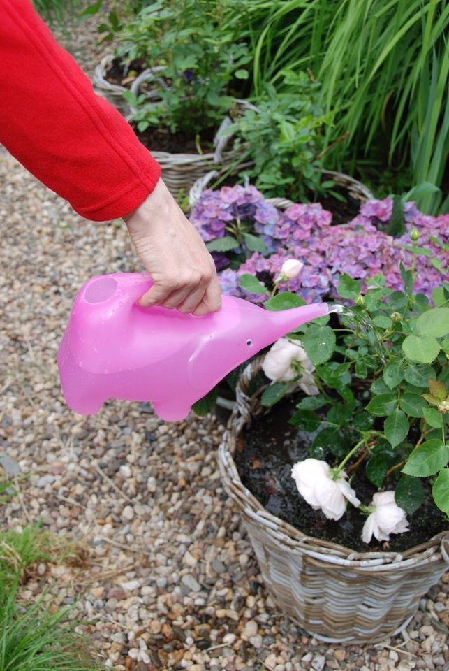 Thumbnail - Dekowunder Gießkanne Elefant Gießkanne sortiert mehrfarbig Blumen Garten Kinder 1,6 Liter