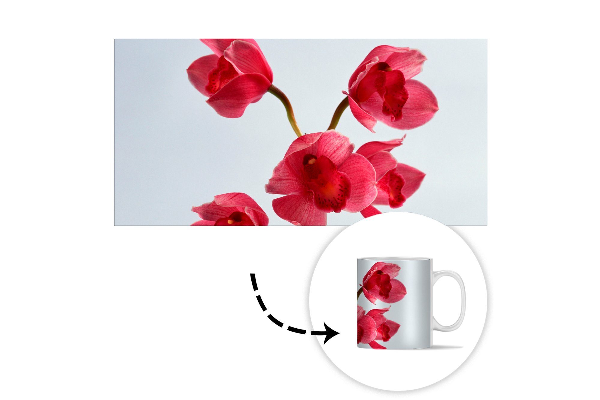 MuchoWow Tasse Rote Orchideen Kaffeetassen, Geschenk Keramik, Teetasse, hellen für Becher, Teetasse, Hintergrund, einen