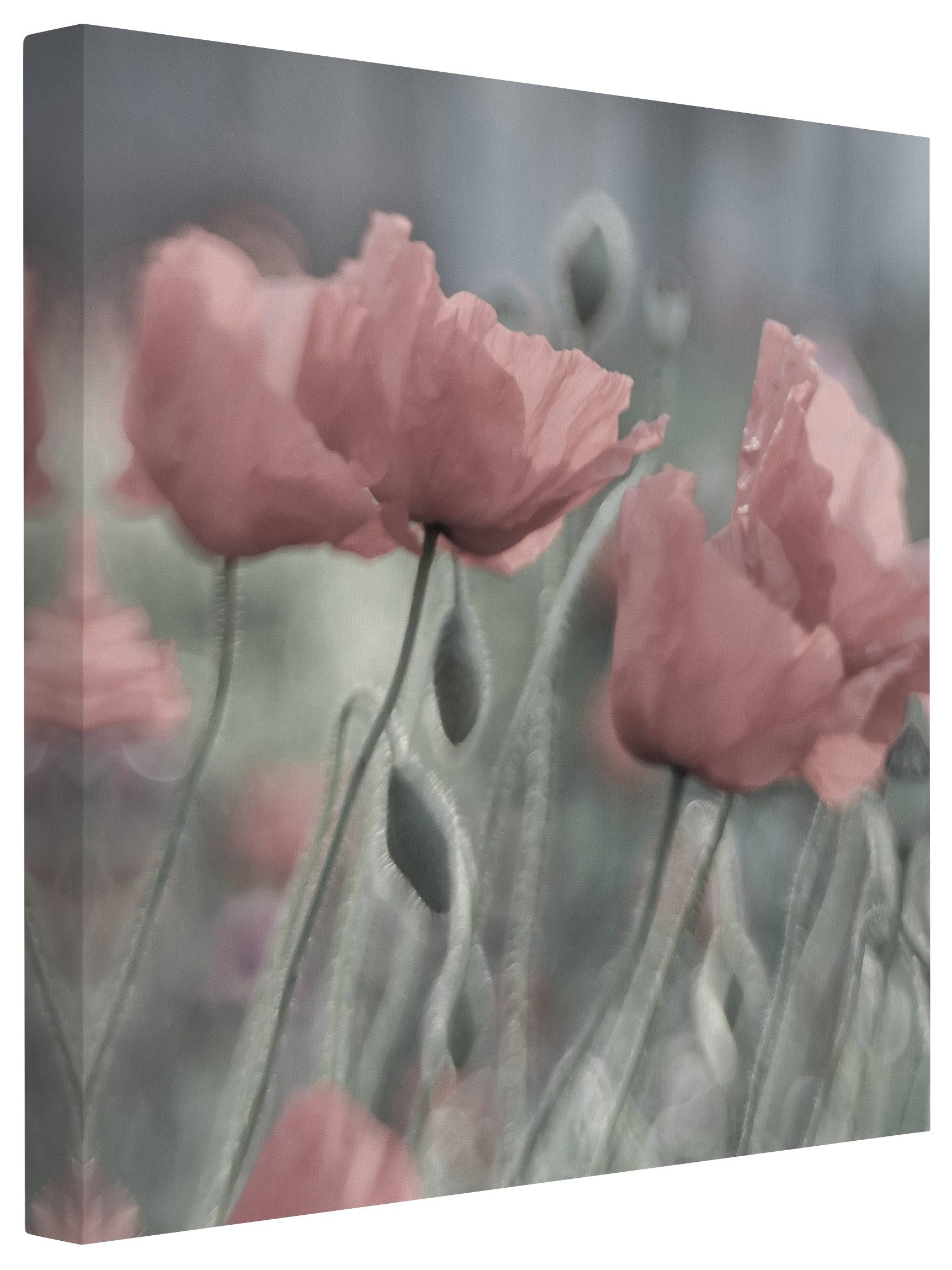 Bilderdepot24 Leinwandbild Blume Natur Modern Malerei günstig online kaufen