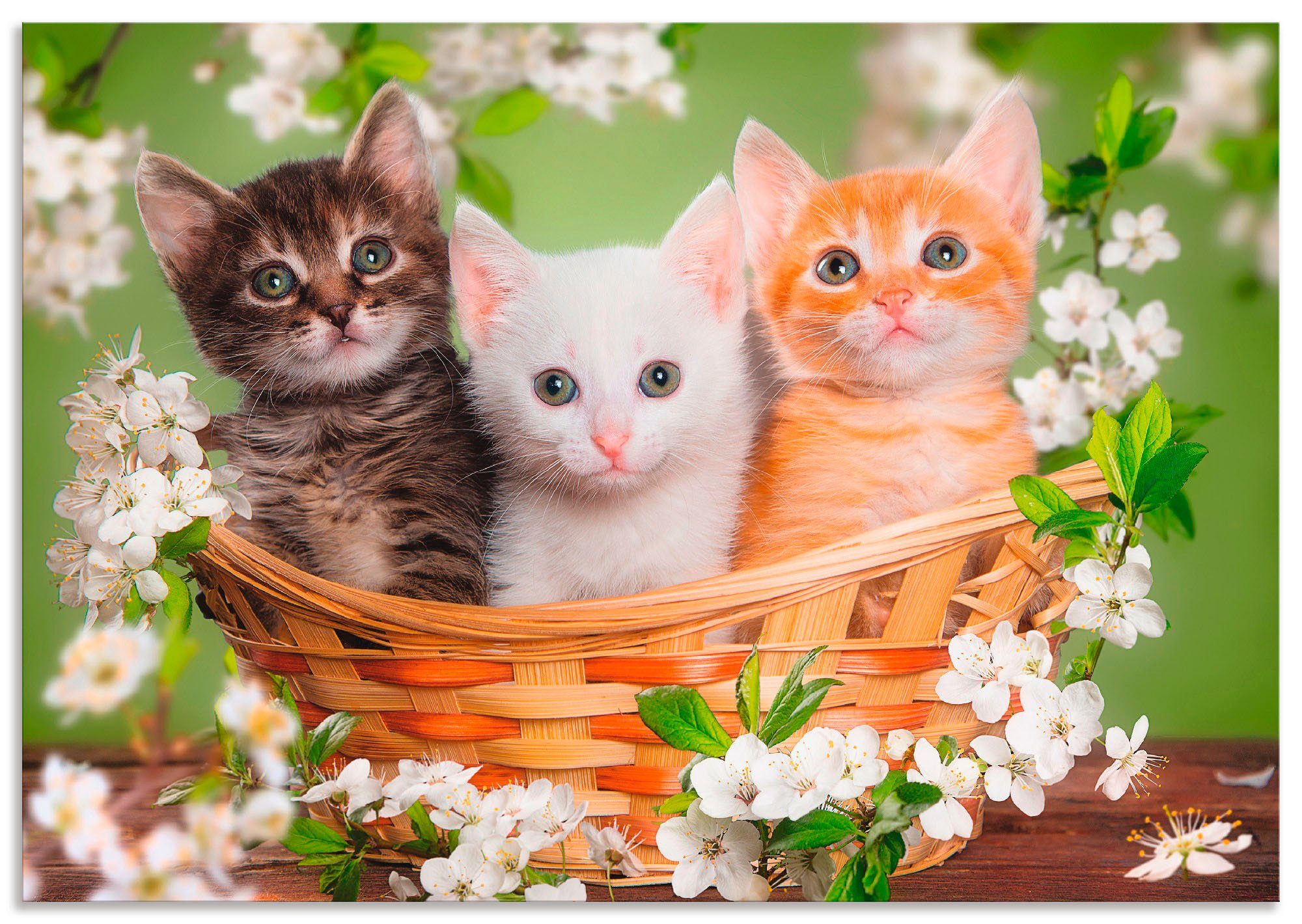 Artland Wandbild Katzen sitzen in einem Korb, Haustiere (1 St), als Leinwandbild, Poster in verschied. Größen