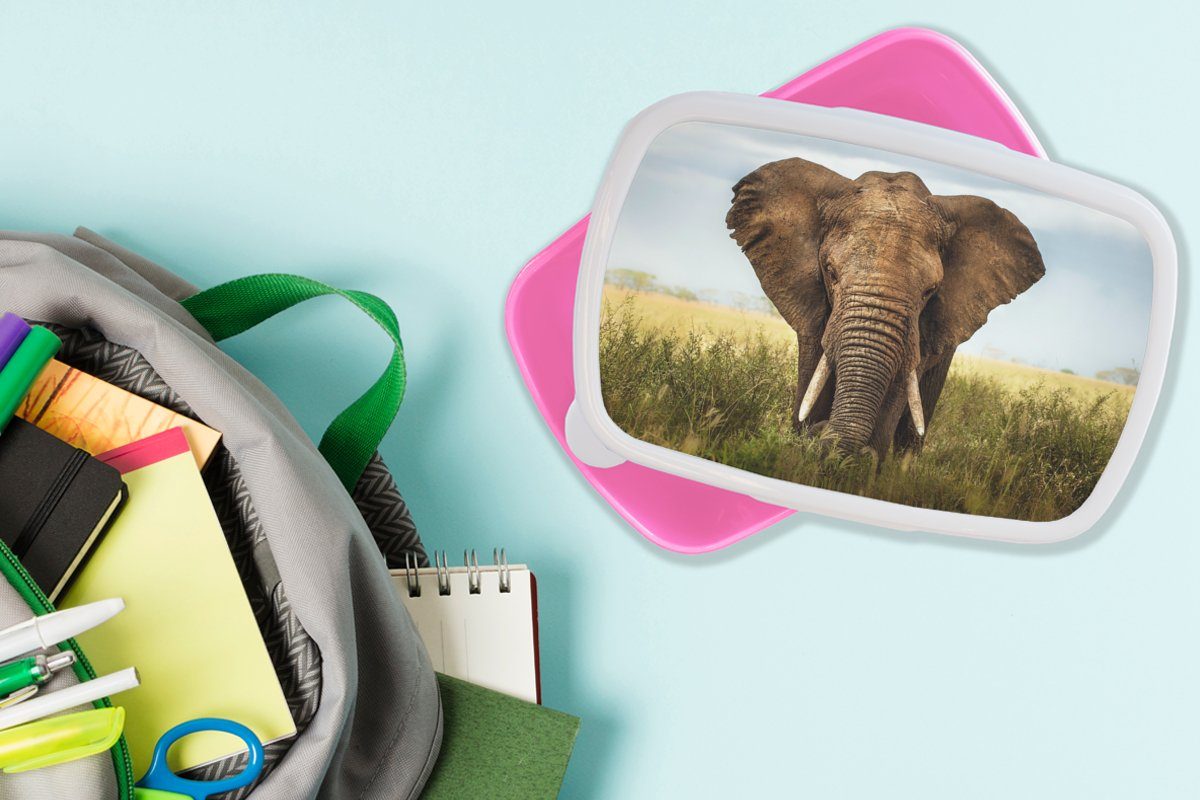 Snackbox, Vorderansicht, für Kunststoff, Elefant Kunststoff Mädchen, rosa Kinder, Lunchbox MuchoWow Brotdose Afrikanischer (2-tlg), Brotbox Erwachsene,