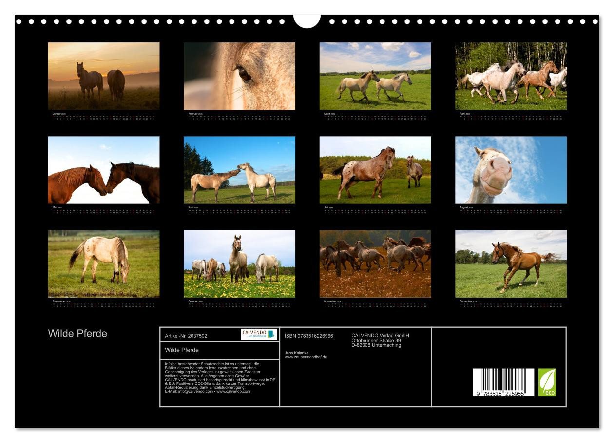 Thumbnail - CALVENDO Wandkalender Wilde Pferde (Wandkalender 2026 DIN A3 quer), CALVENDO Monatskalender
