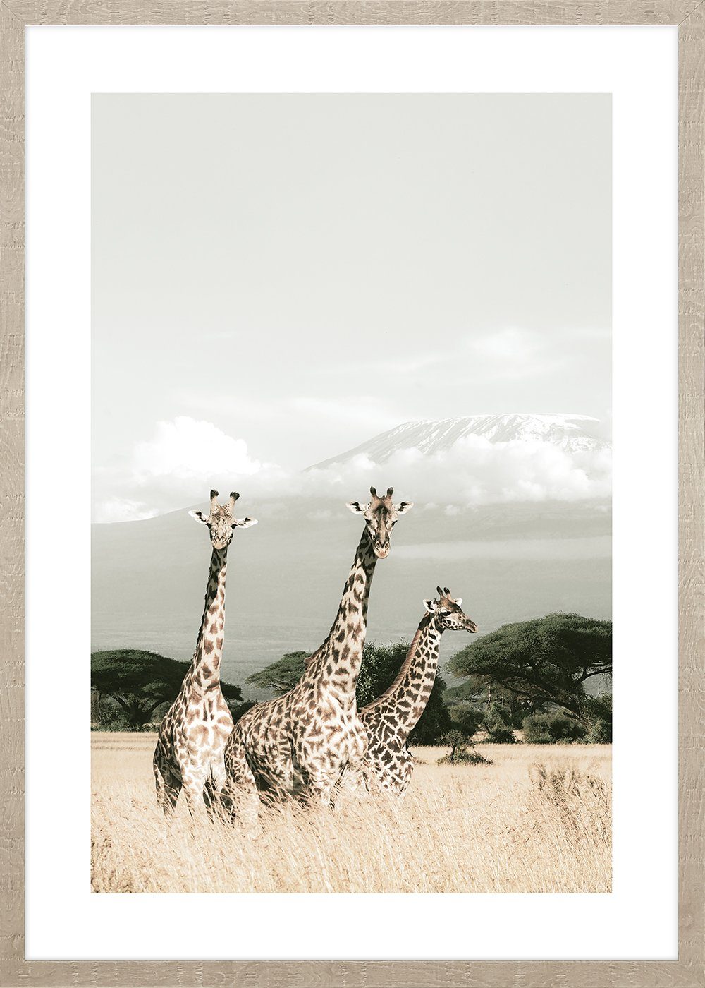 Elefanten Kunstdruck mit Rahmen, beschichtet cm Home mit Ideas Rahmen Afrika Cosy Wandbild - ohne 60x90 St), Giraffen Bild Bild (1 Giraffen Glas