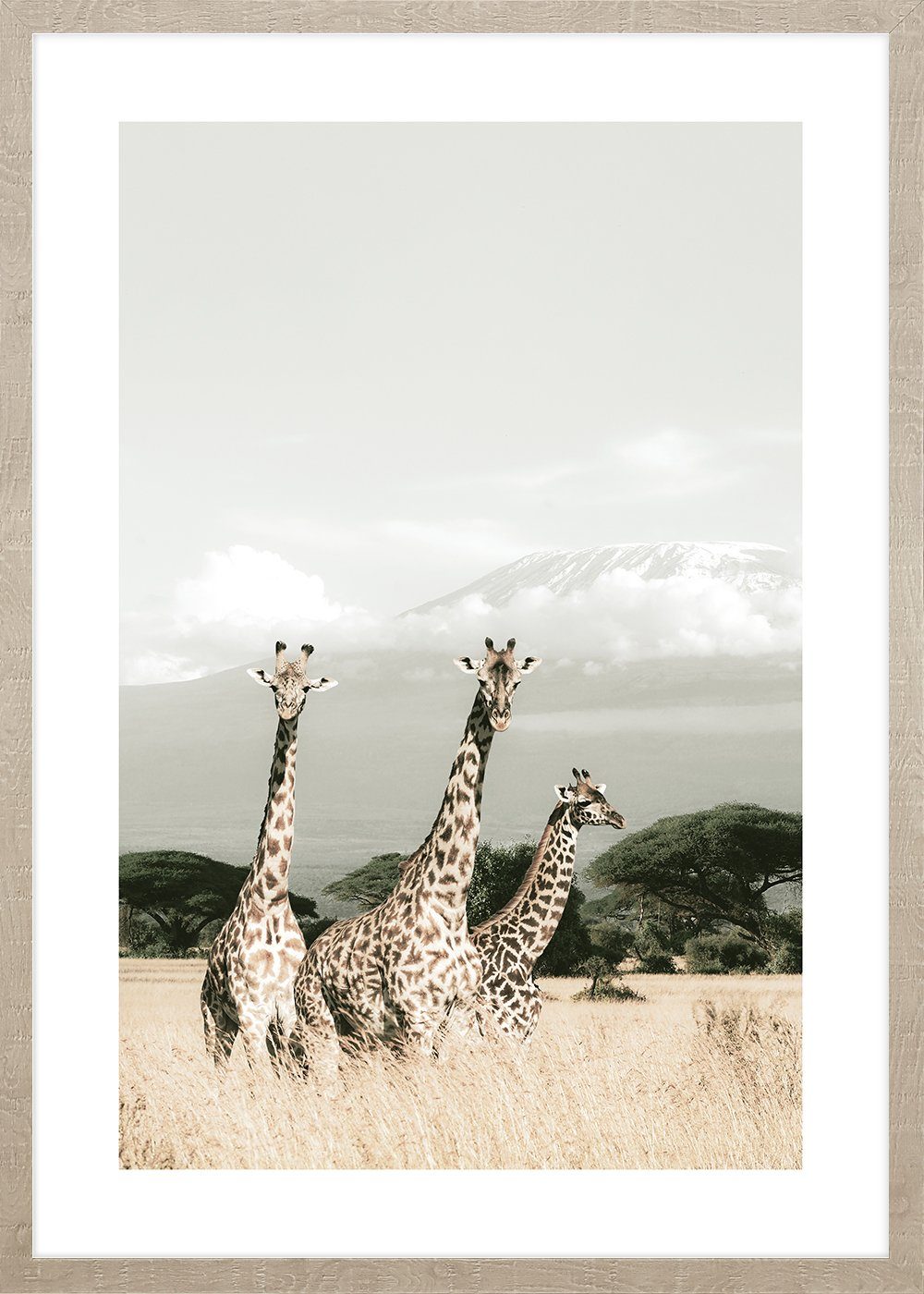 Cosy Home Ideas Bild mit Rahmen Wandbild Elefanten Giraffen Afrika 60x90 cm Bild mit Rahmen, Giraffen (1 St), Kunstdruck beschichtet - ohne Glas