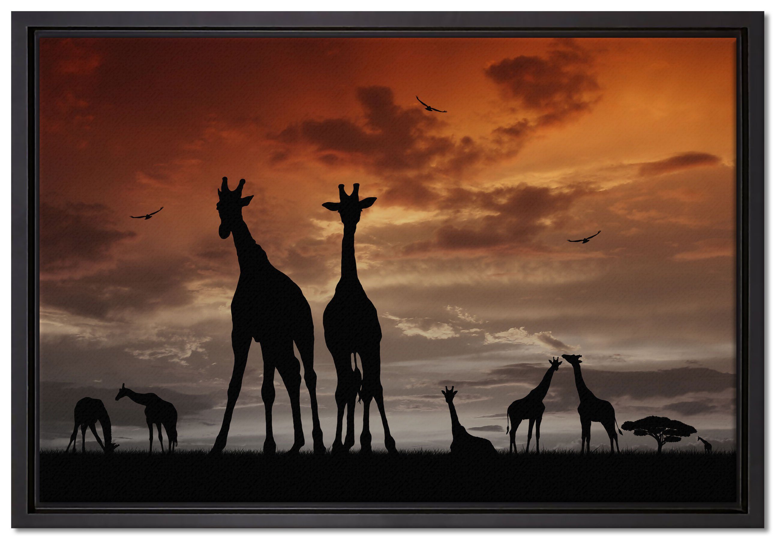 St), fertig Schattenfugen-Bilderrahmen bespannt, gefasst, Giraffen Wanddekoration inkl. Leinwandbild im einem Pixxprint in (1 Afrika Sonnenuntergang, Leinwandbild Zackenaufhänger