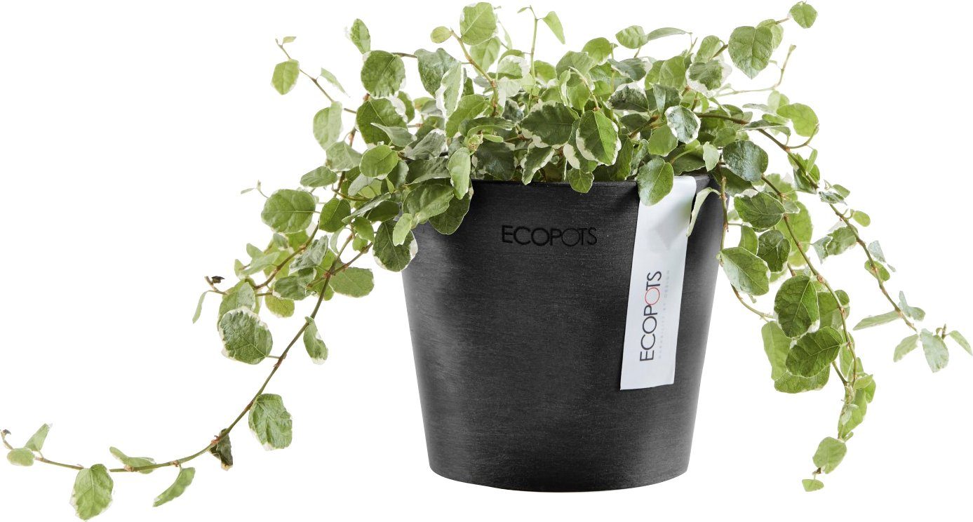 ECOPOTS Blumentopf AMSTERDAM Mini Dark 10,5x10,5x9,2 Grey, BxTxH: cm