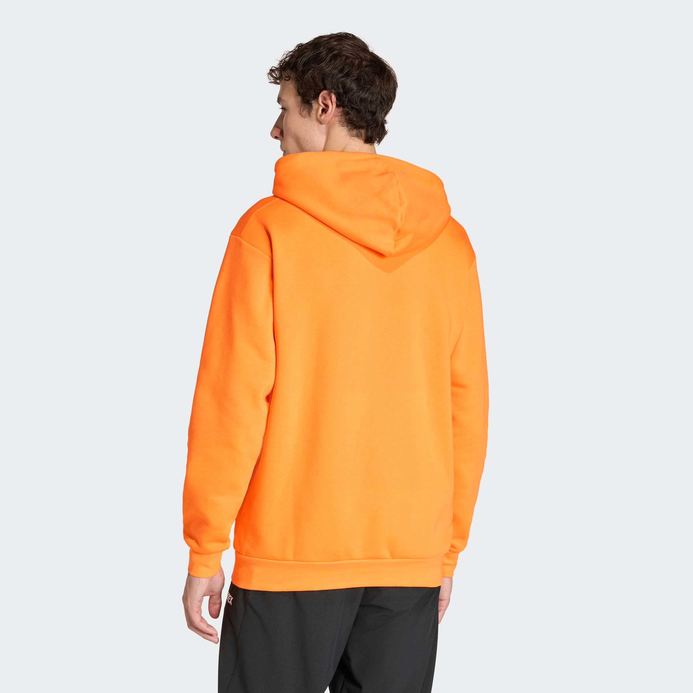 adidas TERREX Kapuzensweatshirt MT L LOGO HD günstig online kaufen