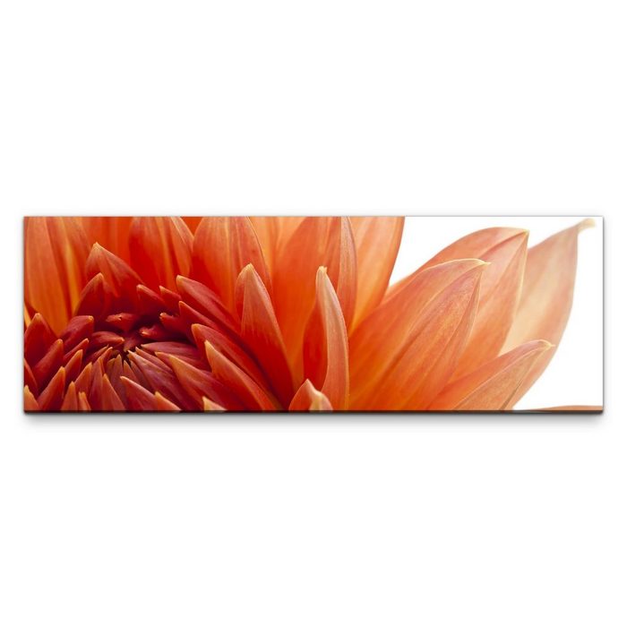 möbel-direkt.de Leinwandbild Bilder XXL orange Dahlie Wandbild auf Leinwand