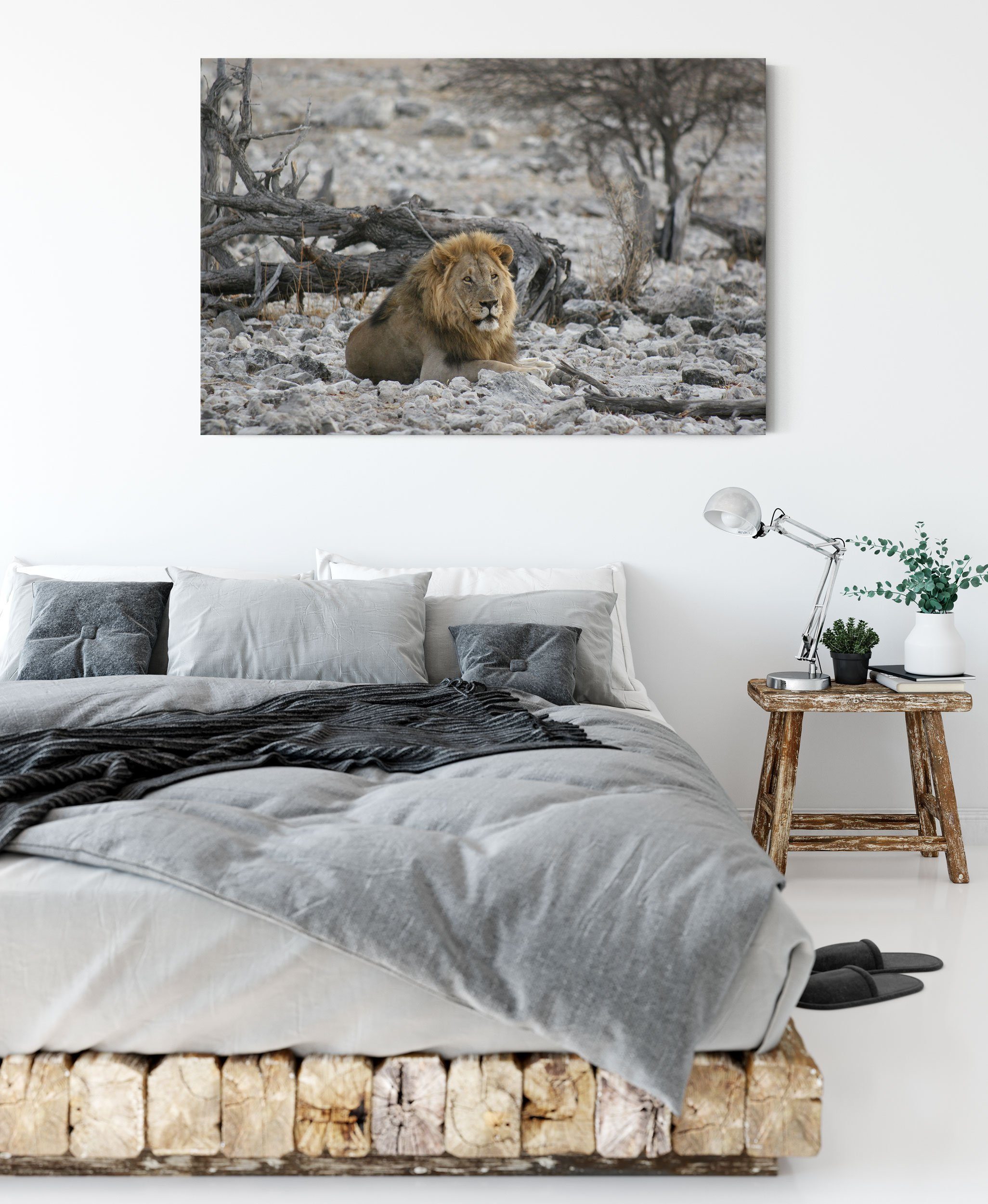 fertig Zackenaufhänger Löwe bespannt, in Leinwandbild Leinwandbild inkl. Steinlandschaft, Pixxprint in (1 Steinlandschaft St), Löwe