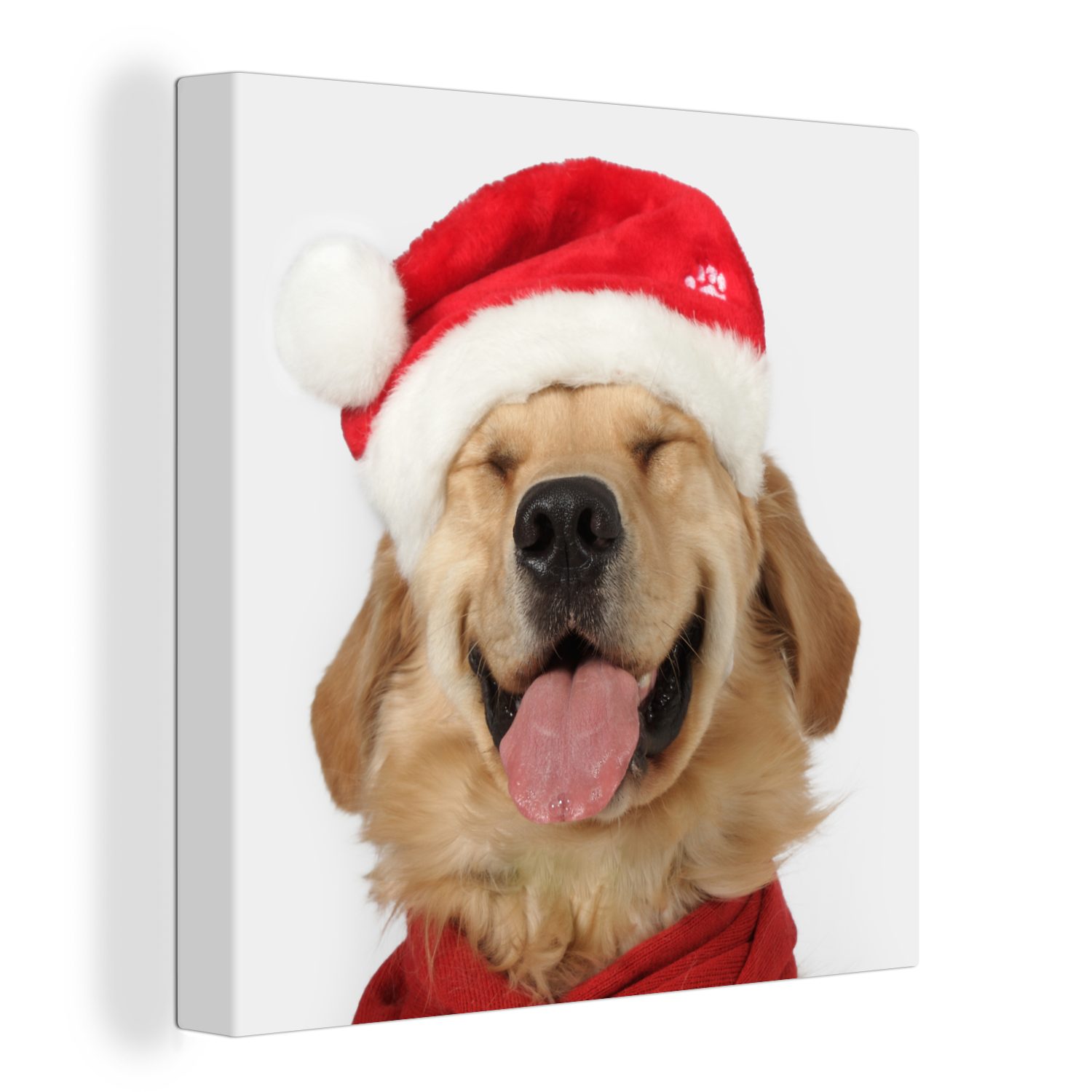 OneMillionCanvasses® Leinwandbild Hund - Lustig - Lachen - Kinder - Jungen - Mädchen, (1 St), Leinwand Bilder für Wohnzimmer Schlafzimmer