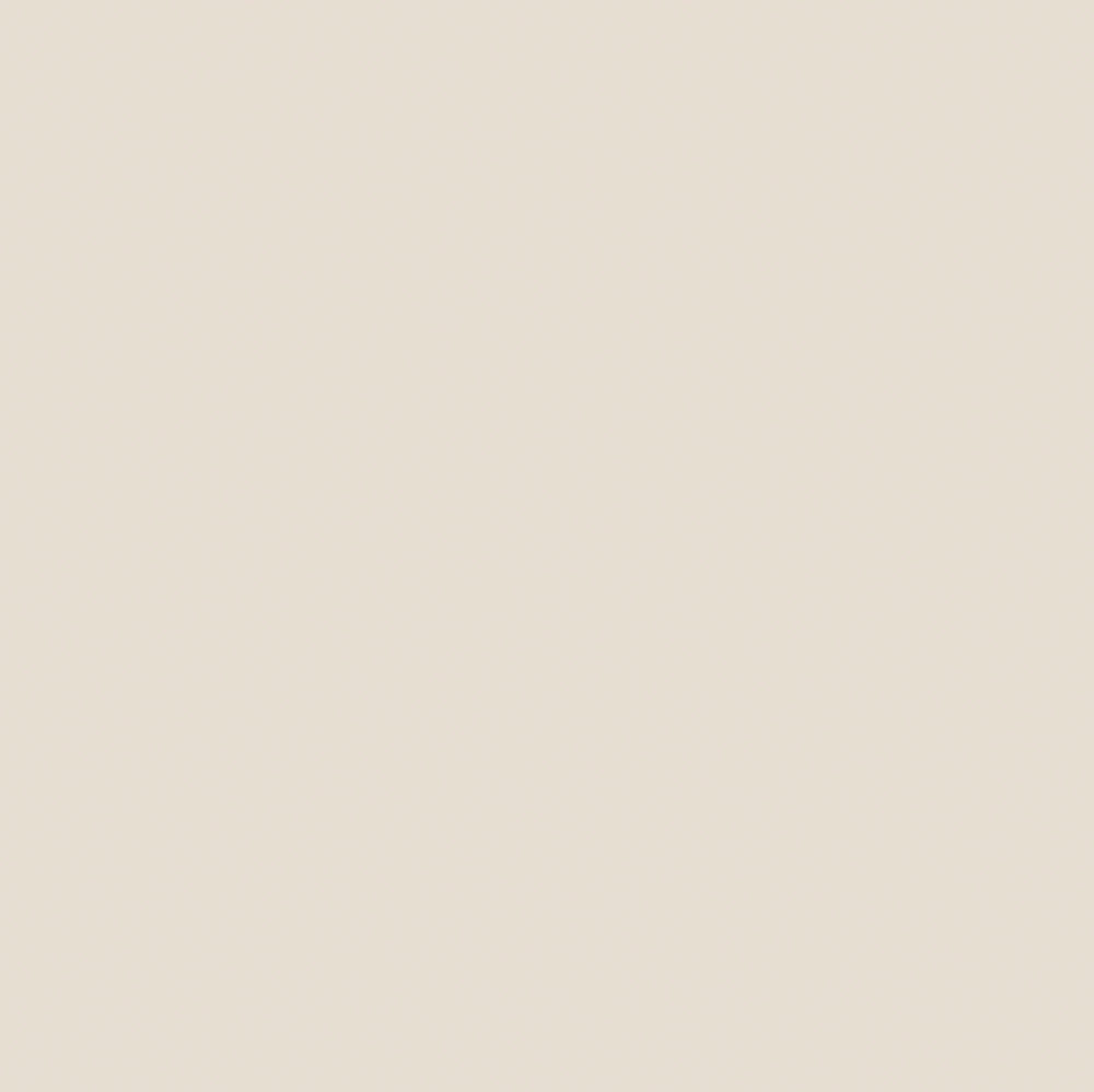 MATT Sable shades, Wandfarbe matt, Quality EMULSION ASHLEY LAURA Fine 2,5 Paint Pale L natural