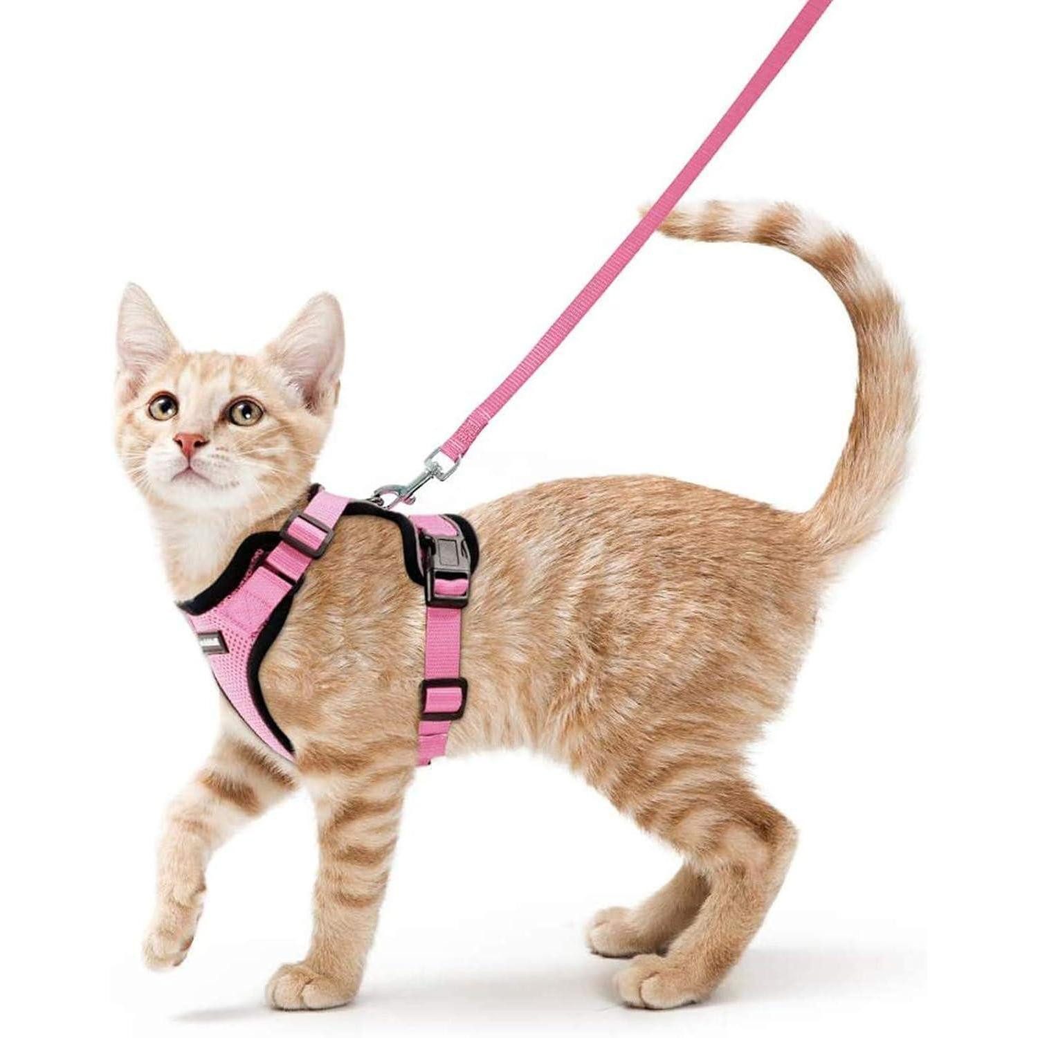 LuxusKollektion Katzen-Halsband Katzengeschirr Brustgeschirr Leine verstellbar XS (1er Pack) Rosa