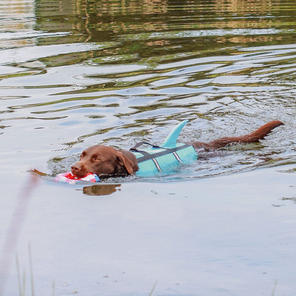 Nobby Hundeweste Schwimmhilfe "Sharki"