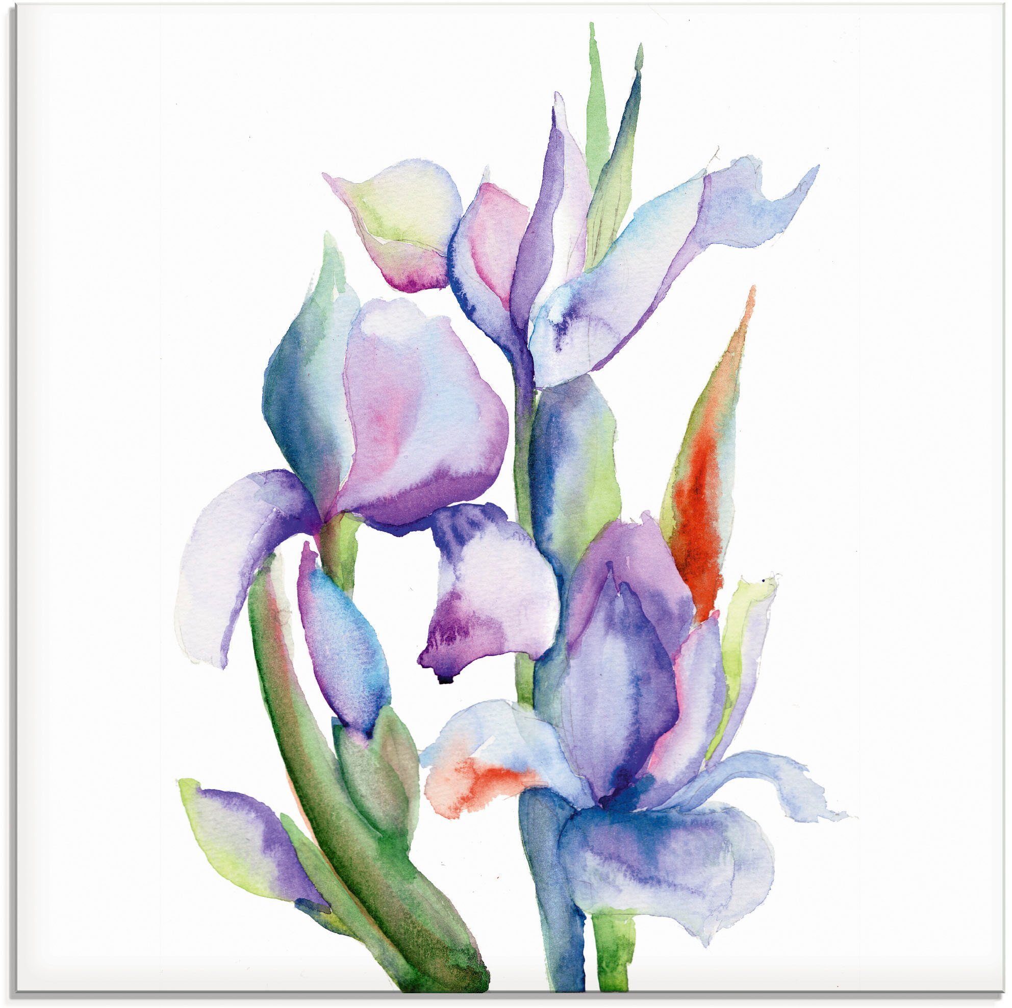 Artland Glasbild Iris, Blumen (1 St), in verschiedenen Größen