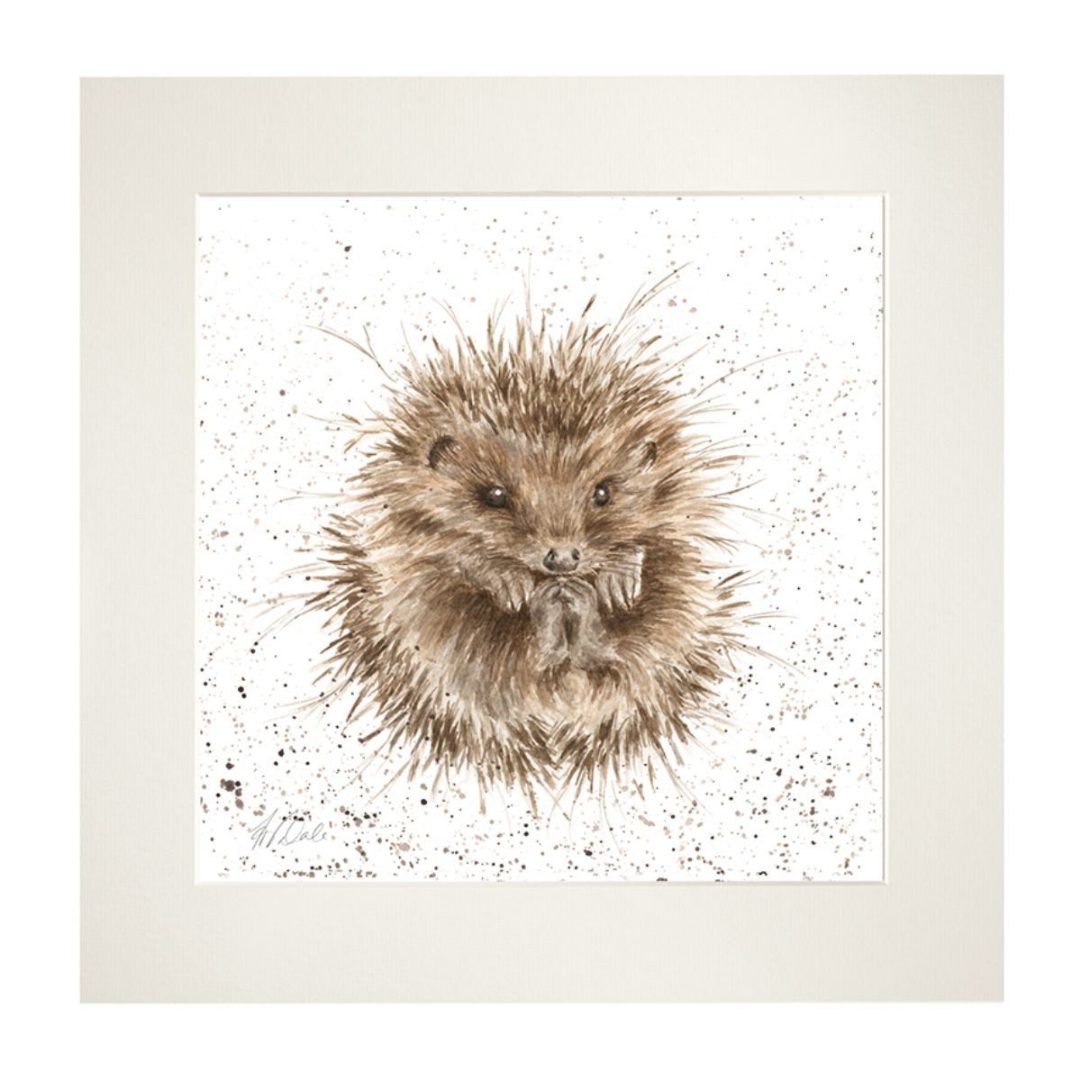 Wrendale Wandbild Wrendale Designs Bild im Passepartout Rahmen Igel Awakening