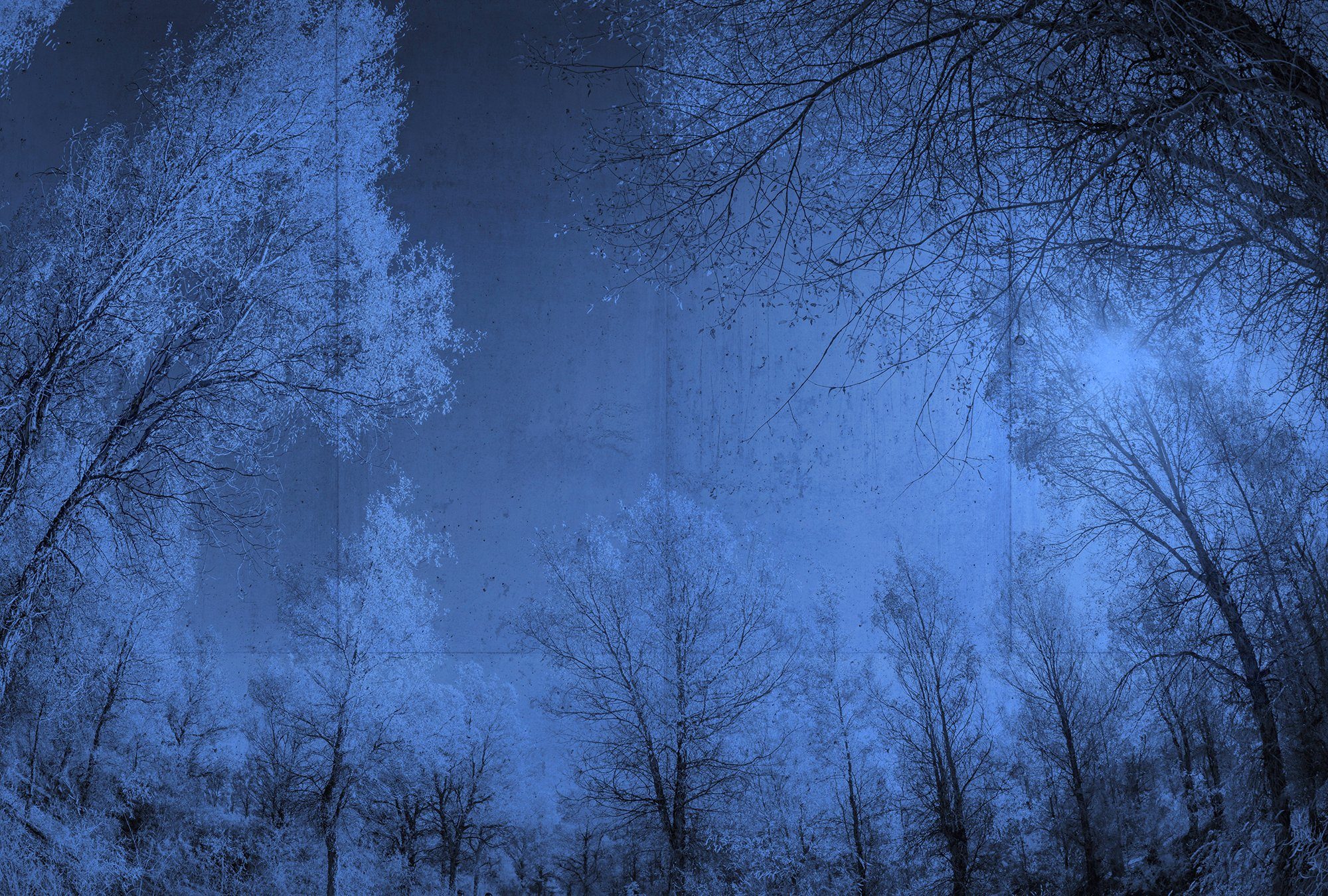 Architects Paper Fototapete Atelier 47 Forest Glade 1, glatt, Wald, (4 St), Vlies, Wand, Schräge, Decke