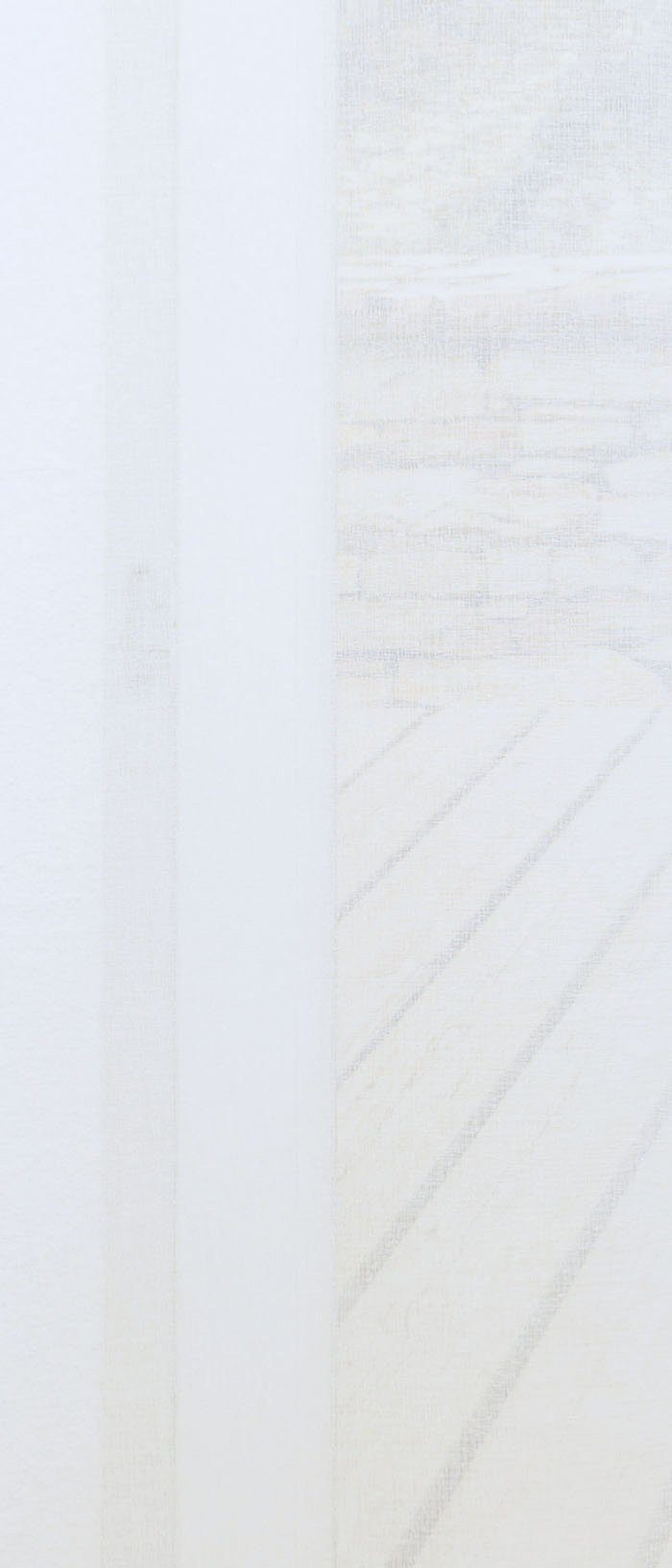 Vorhang Ösenschal Fascia, (1 perlweiß HxB 235x140cm transparent, St), LYSEL®