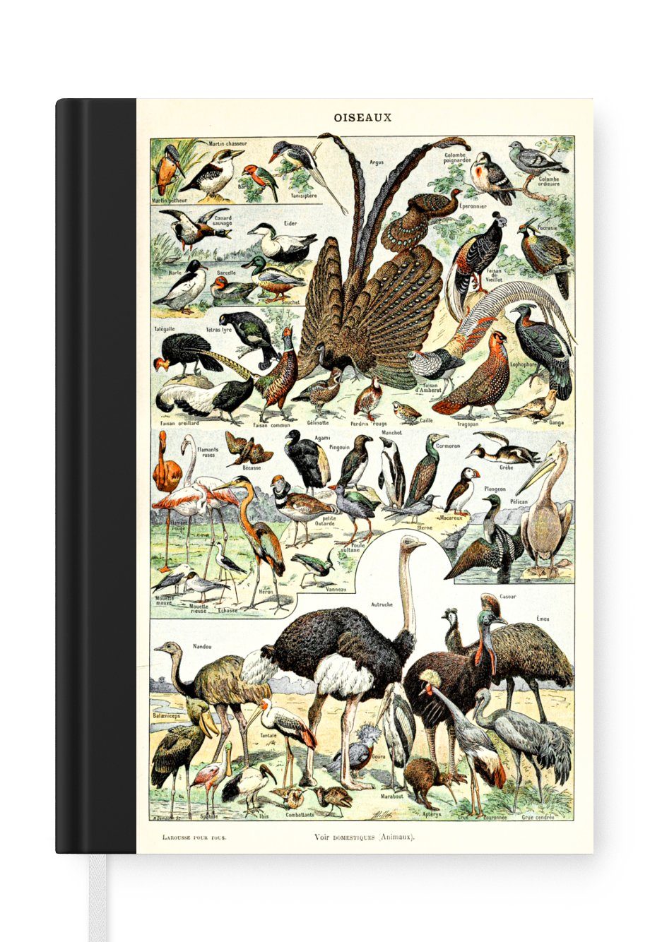 MuchoWow Notizbuch Vogel - Natur - Tiere - Vintage - Kunstwerk, Journal, Merkzettel, Tagebuch, Notizheft, A5, 98 Seiten, Haushaltsbuch