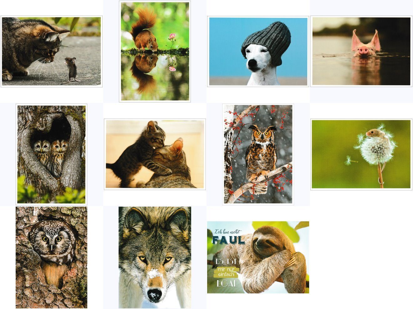 Postkarte n-Mix-Set "Tiere" | Grußkarten