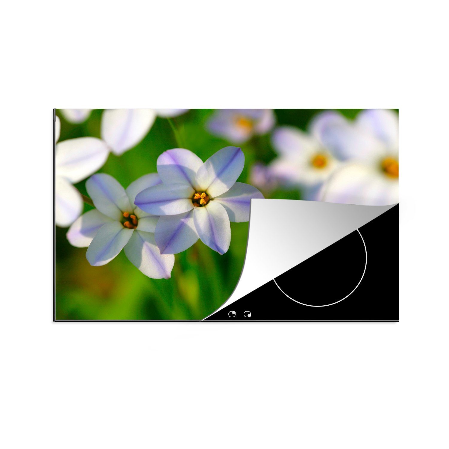 MuchoWow Herdblende-/Abdeckplatte Blumen - Garten - Lila, Vinyl, (1 tlg), 81x52 cm, Induktionskochfeld Schutz für die küche, Ceranfeldabdeckung
