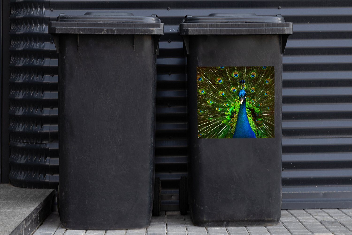 Container, Mülltonne, Federn - (1 Mülleimer-aufkleber, MuchoWow - Pfau Blau St), Wandsticker - Muster Abfalbehälter Sticker,