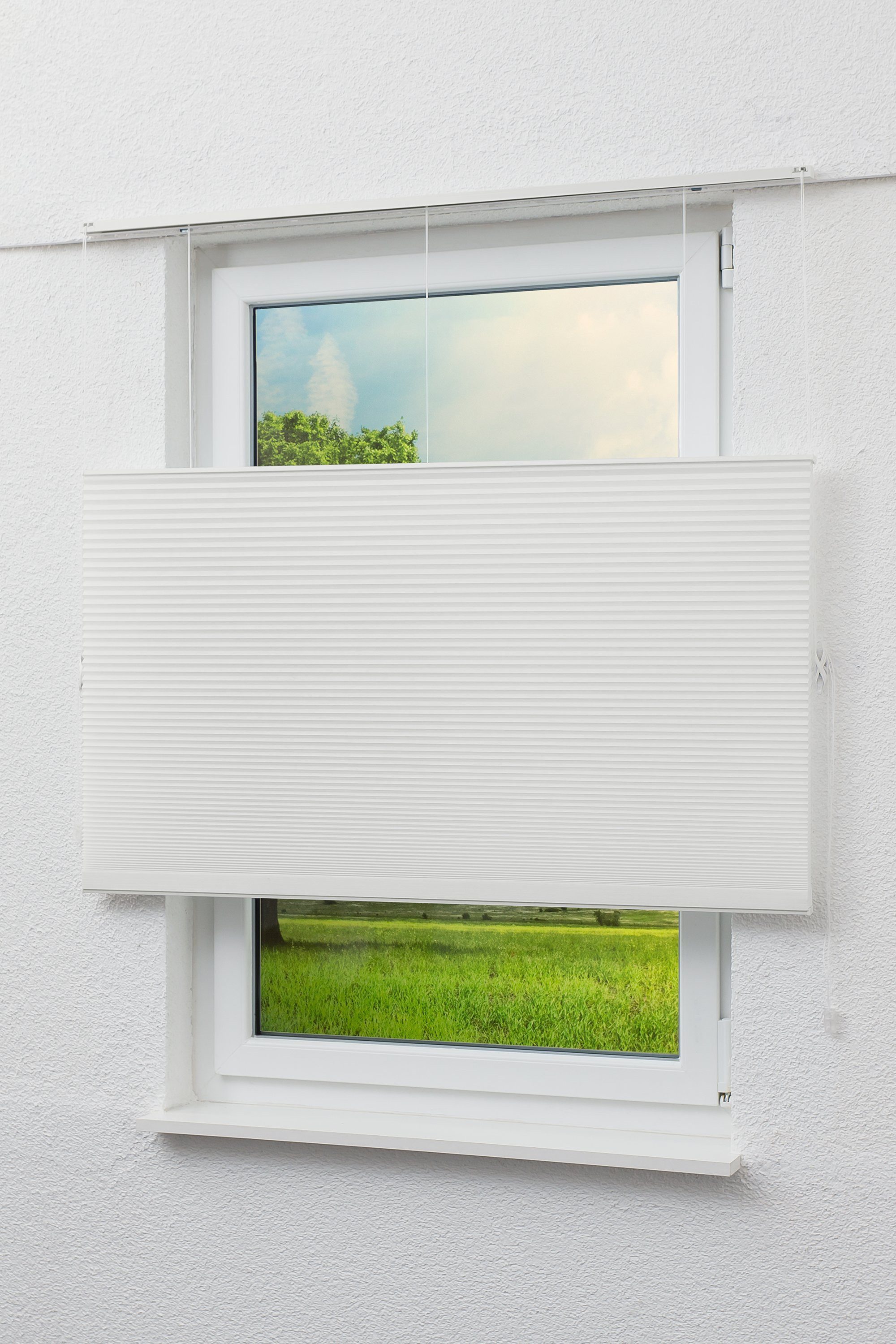 LYSEL® Plissee waben up&down, blickdicht, HxB 130x40cm günstig online kaufen