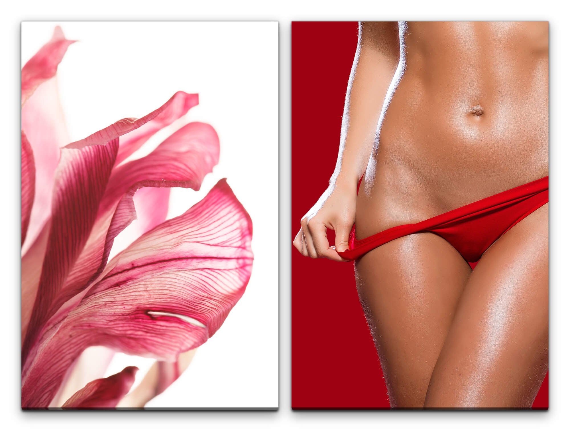 Sinus Art Leinwandbild 2 Bilder je 60x90cm Erotisch Weiblich Blüte Blume Höschen Rot Verführerisch