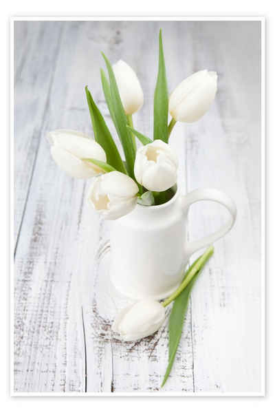 Posterlounge Poster Editors Choice, Weiße Tulpen auf geweißtem Holz, Fotografie