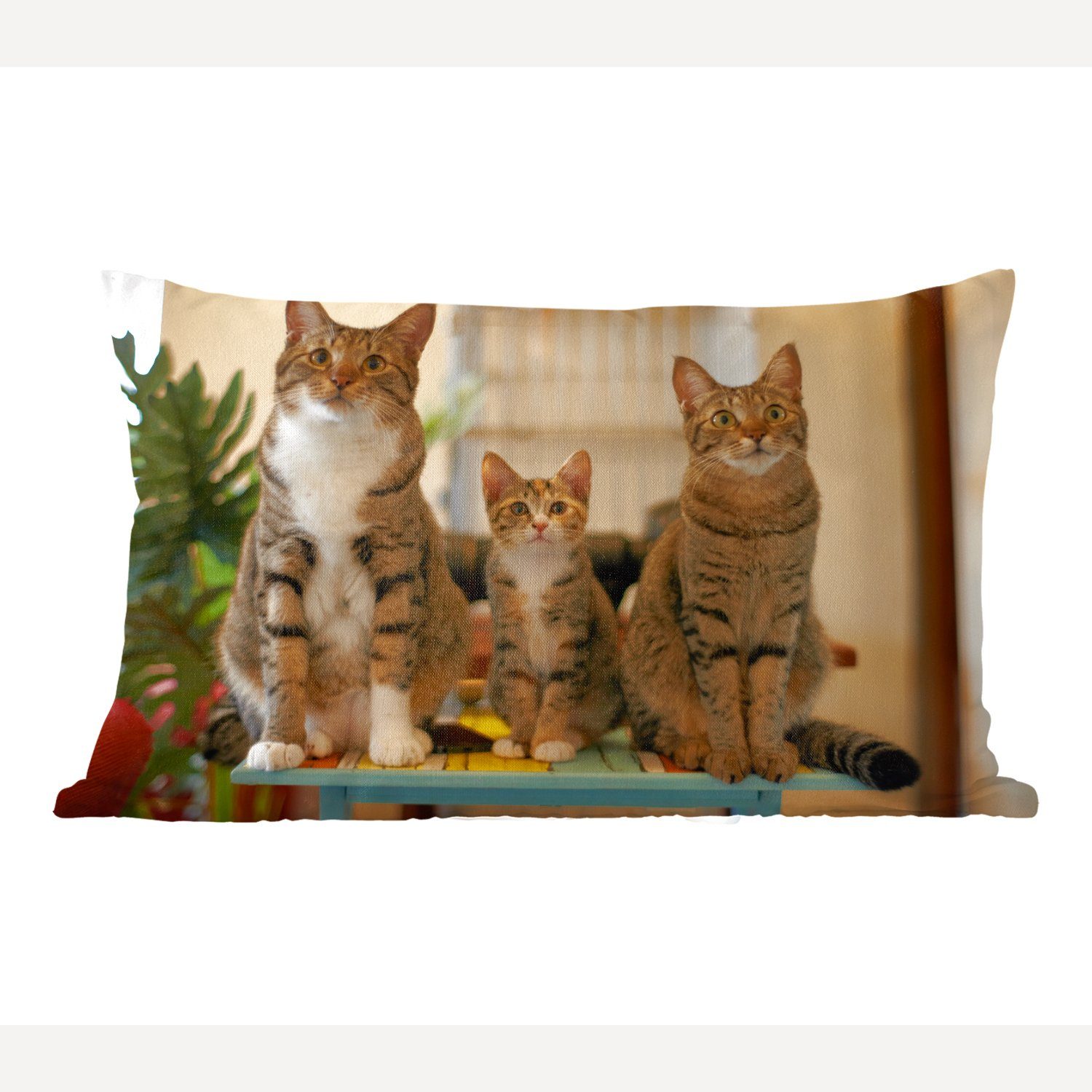 MuchoWow Dekokissen Drei Katzen auf kleinem Tisch, Wohzimmer Dekoration, Zierkissen, Dekokissen mit Füllung, Schlafzimmer