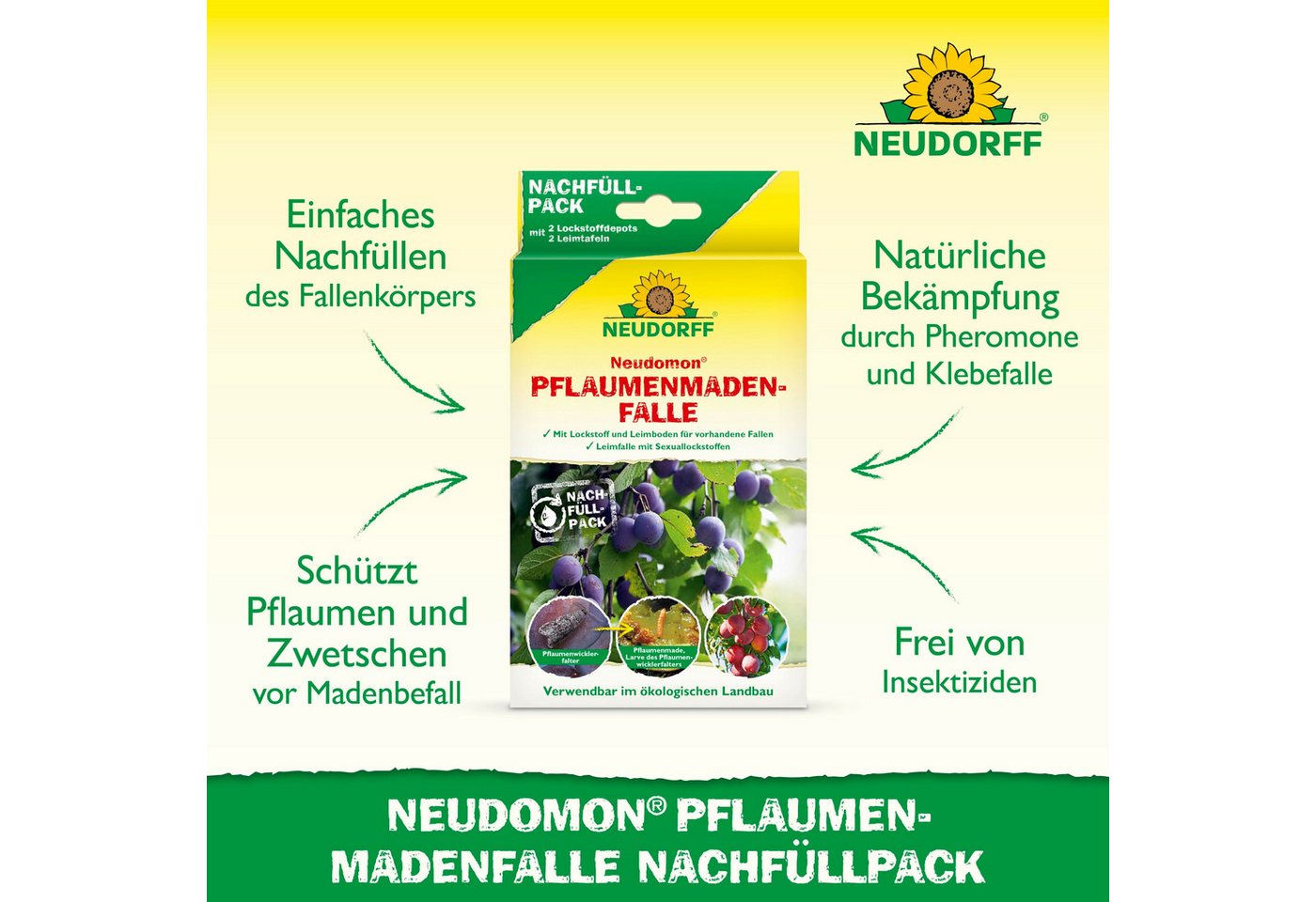 Thumbnail - Neudorff Klebefalle Neudomon PflaumenmadenFalle Nachfüllpack 1 Stk., schützt Pflaumen & Zwetschen vor Madenbefall