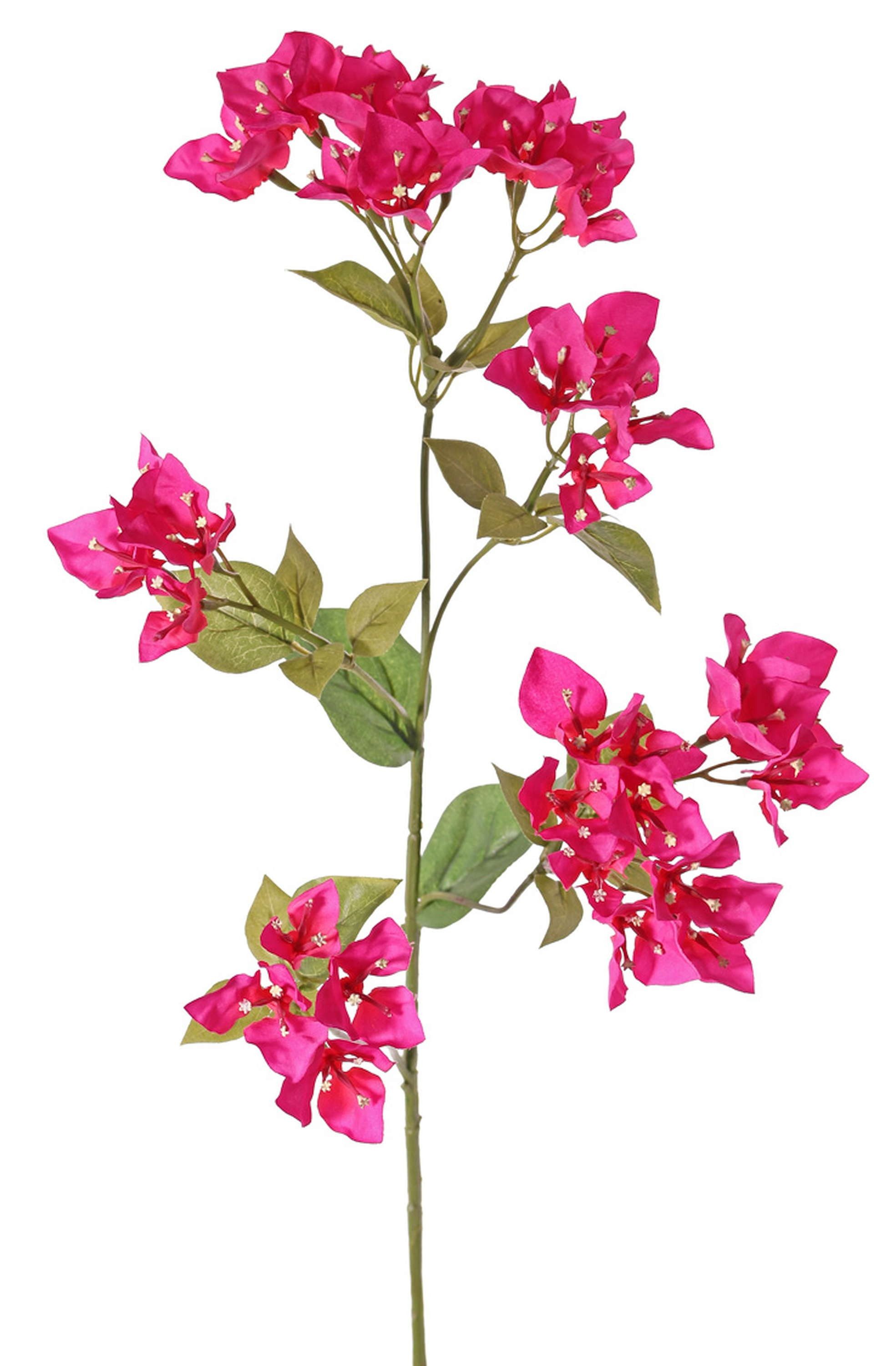 Kunstzweig Deko Zweig Bougainvillea NAJEM mit Blüten, pink, 80cm Bougainvillea, artplants, Höhe 80.0 cm