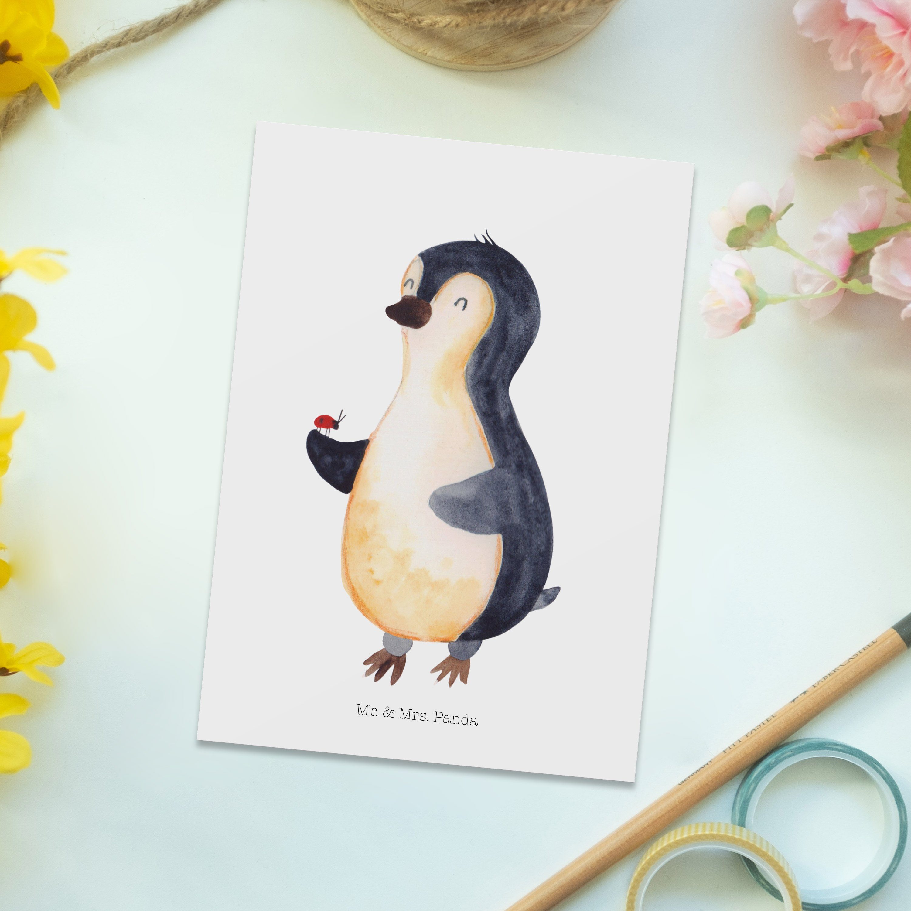 Pinguin - aufmerksam, Mr. Dankeskarte, Glück Marienkäfer Panda & - Postkarte Mrs. Weiß Geschenk,