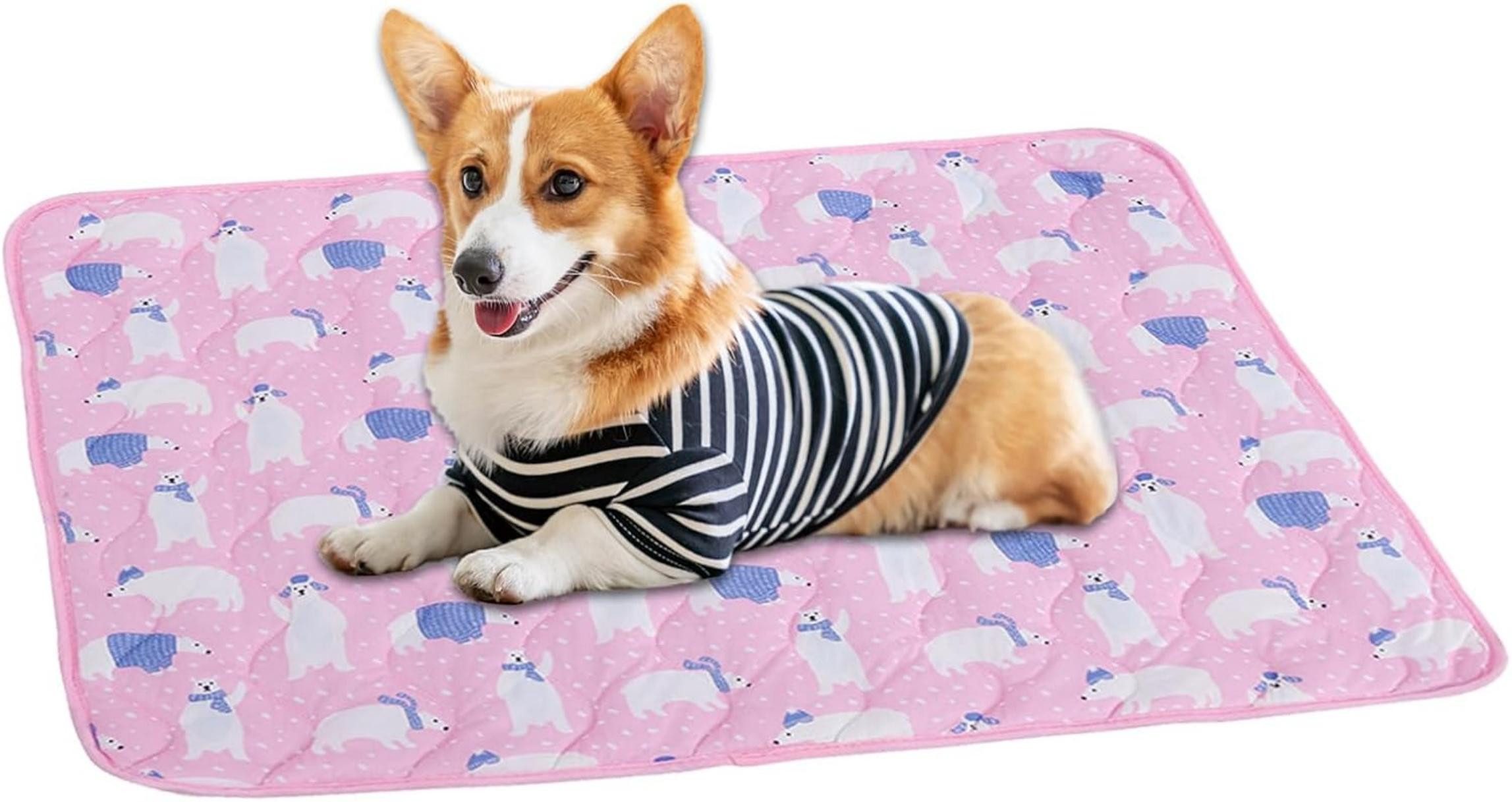 Beaface Hundematte Selbst Kühlende Hundematte Sommer günstig online kaufen