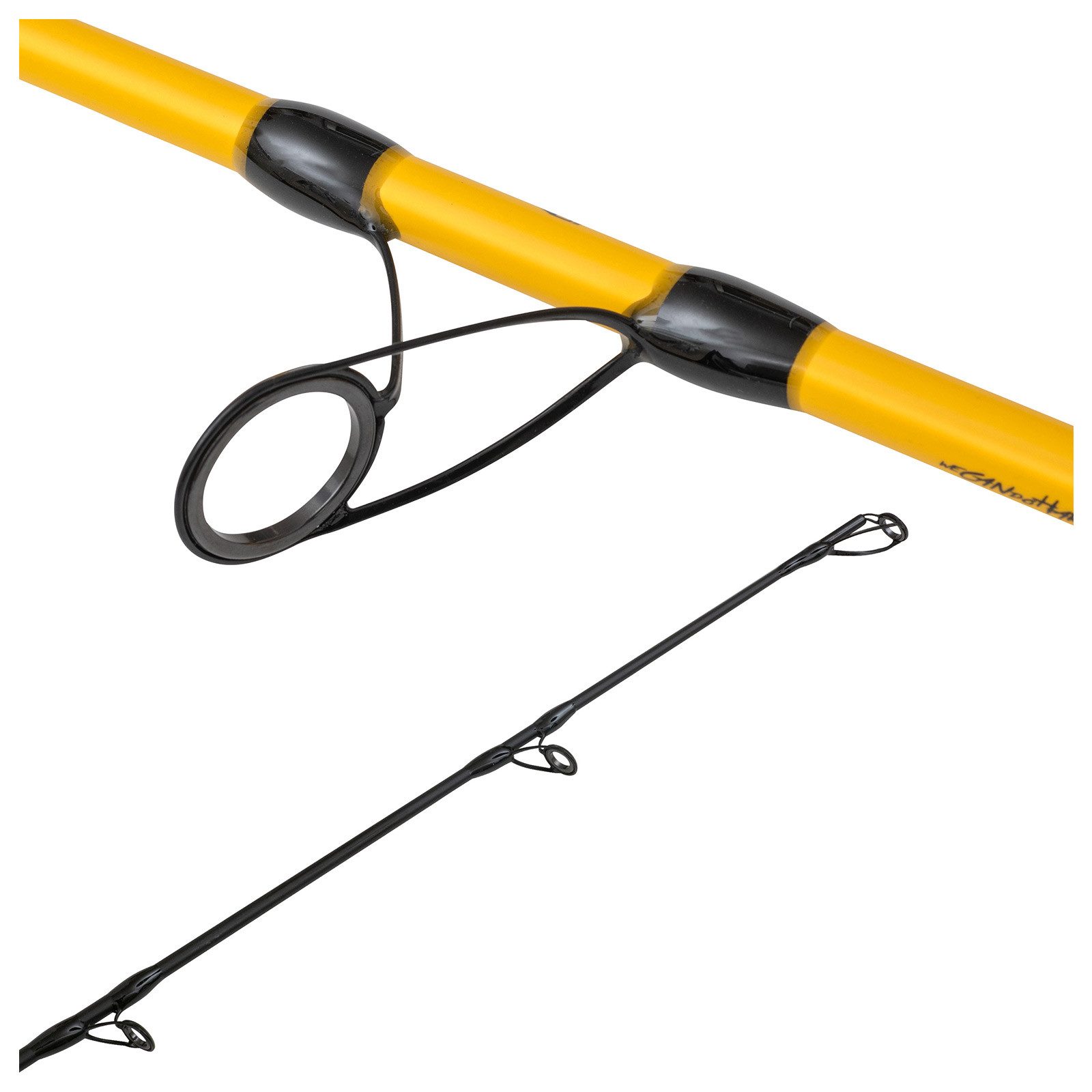 Black Cat Spinnrute, (2-tlg), Black Cat Black Passion G2 Spin 2,70m 50-200g Wels-Spinnrute