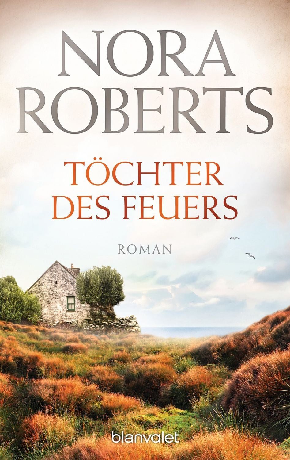 Töchter des Feuers / Nora Roberts, Roman