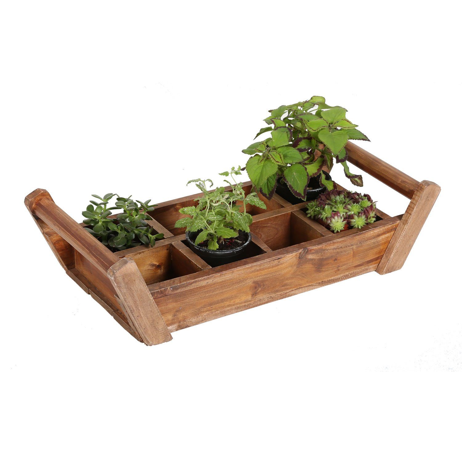 Casa Moro Kräuterbeet Pflanzenbox Gaia Kräuterkasten günstig online kaufen
