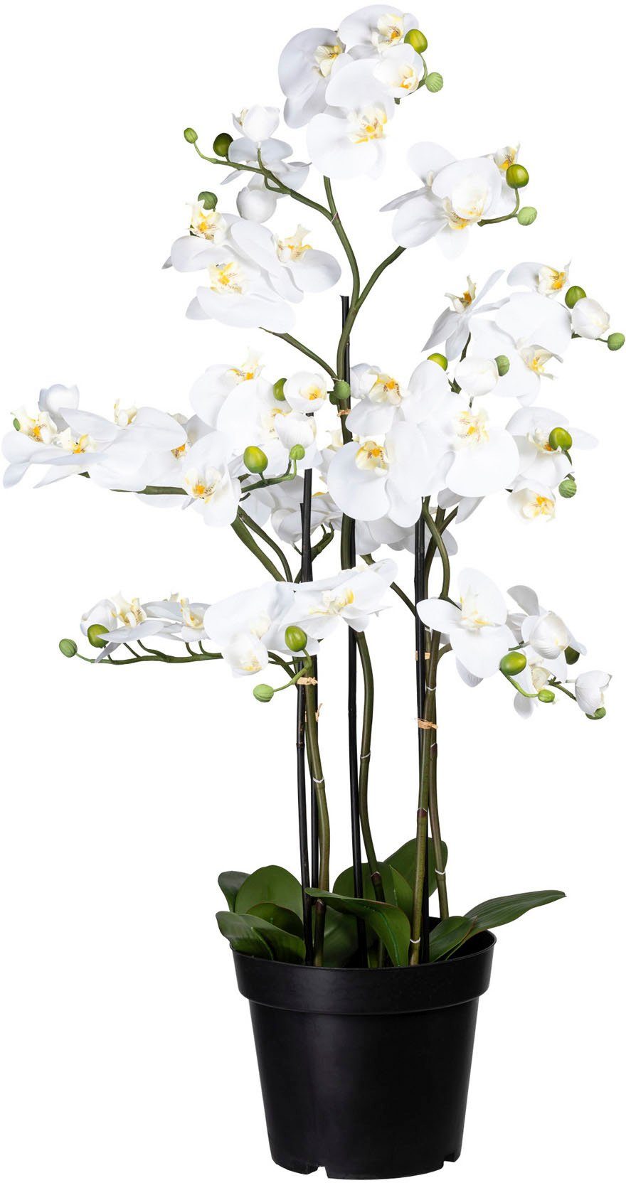 Kunstorchidee »Phalaenopsis« Orchidee Phalaenopsis, Creativ green, Höhe 110 cm-Otto