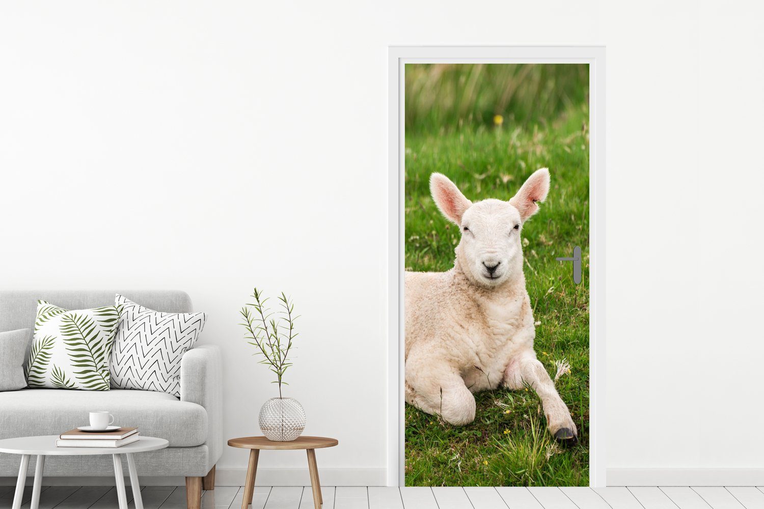 MuchoWow Türtapete Schafe (1 cm St), Lamm, Tiere - Türaufkleber, für Matt, bedruckt, Tür, - Fototapete 75x205