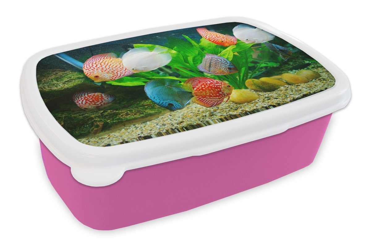 MuchoWow Lunchbox Fische in einem Aquarium, Kunststoff, (2-tlg), Brotbox für Erwachsene, Brotdose Kinder, Snackbox, Mädchen, Kunststoff rosa