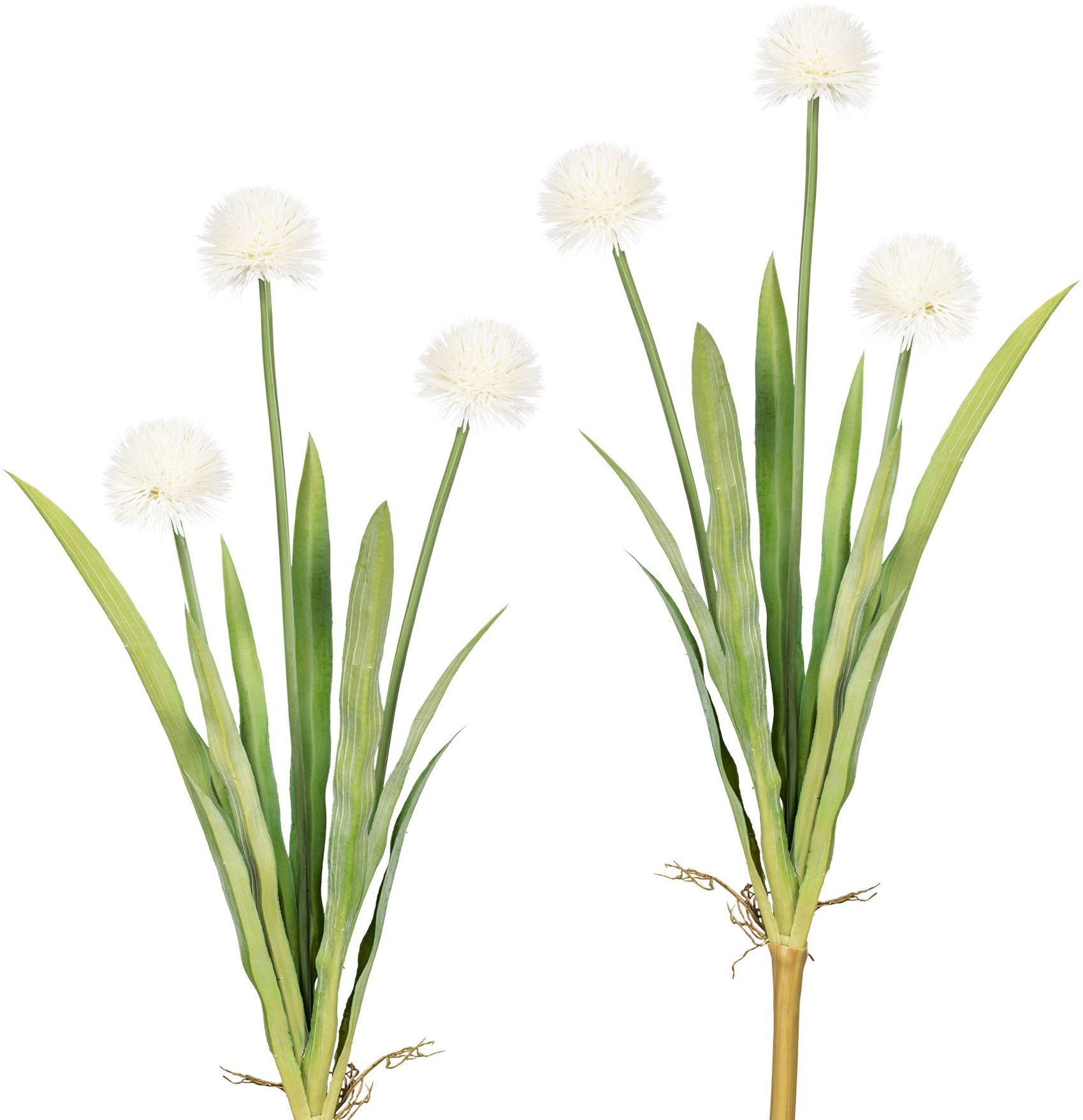 Kunstblume Vivian Allium, my home, Höhe 60 cm, 2er Set weiß | Kunstblumen