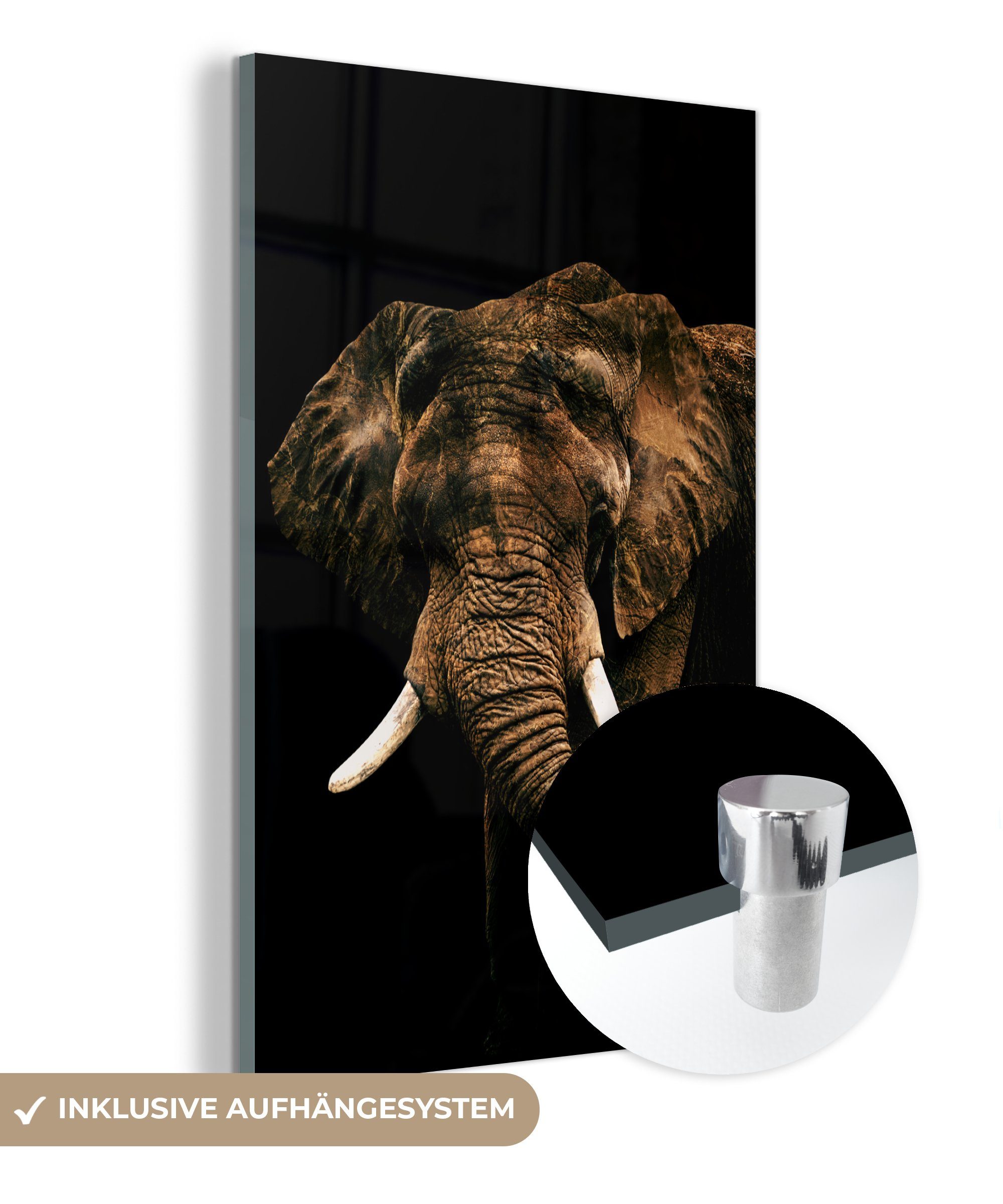 MuchoWow Acrylglasbild Elefant - Schwarz - Braun, (1 St), Glasbilder - Bilder auf Glas Wandbild - Foto auf Glas - Wanddekoration bunt