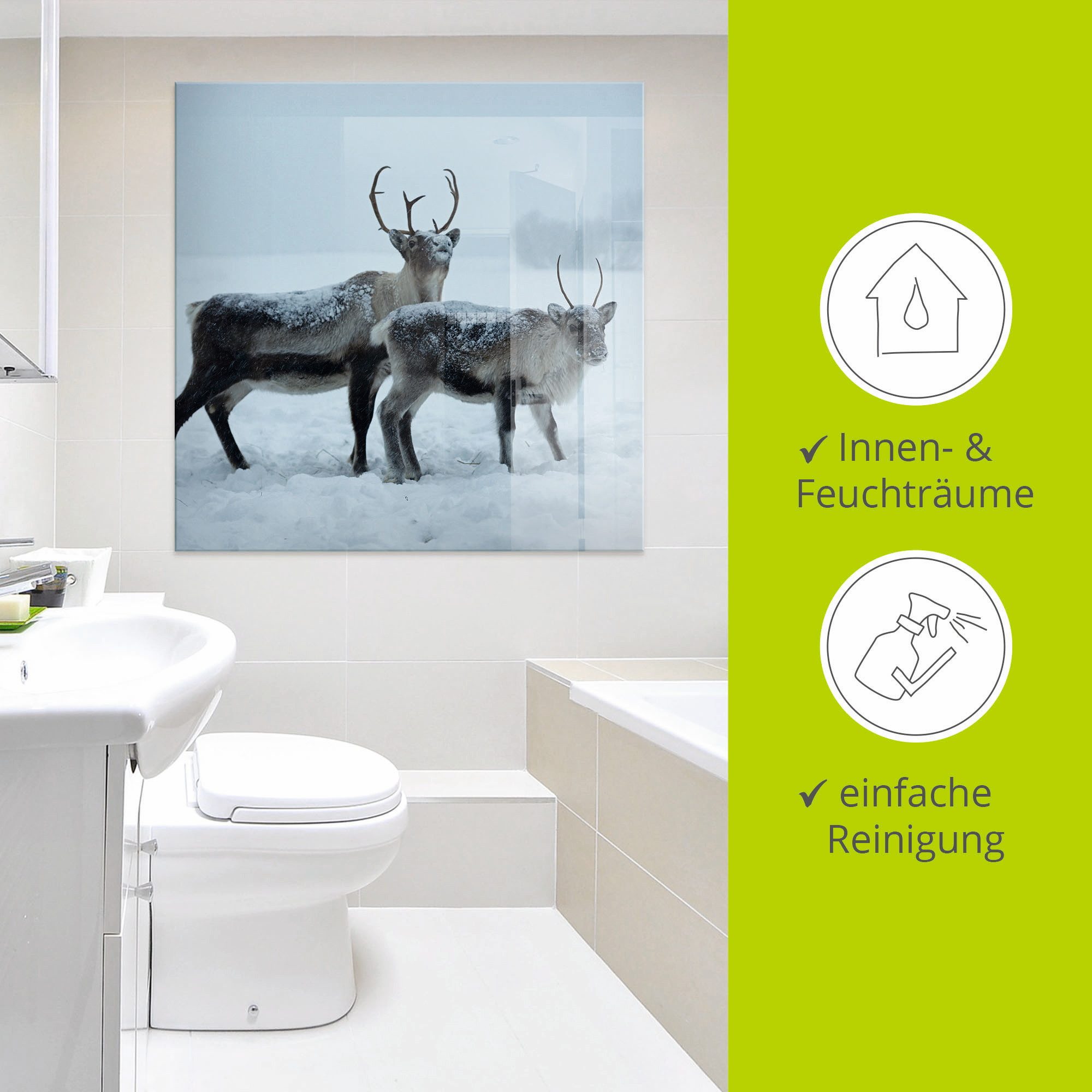 Artland Glasbild Rentier, Wildtiere (1 St), in verschiedenen Größen