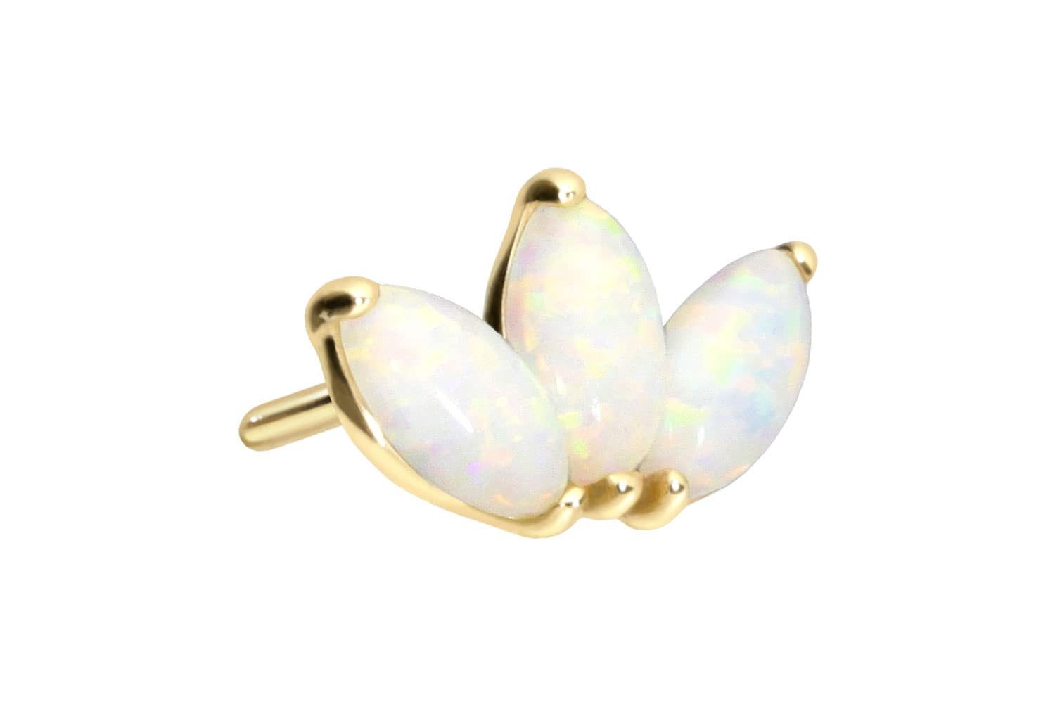 Piercing-Set 14 Karat Gold Schraubaufsatz mit Außengewinde LOTUSBLÜTE +