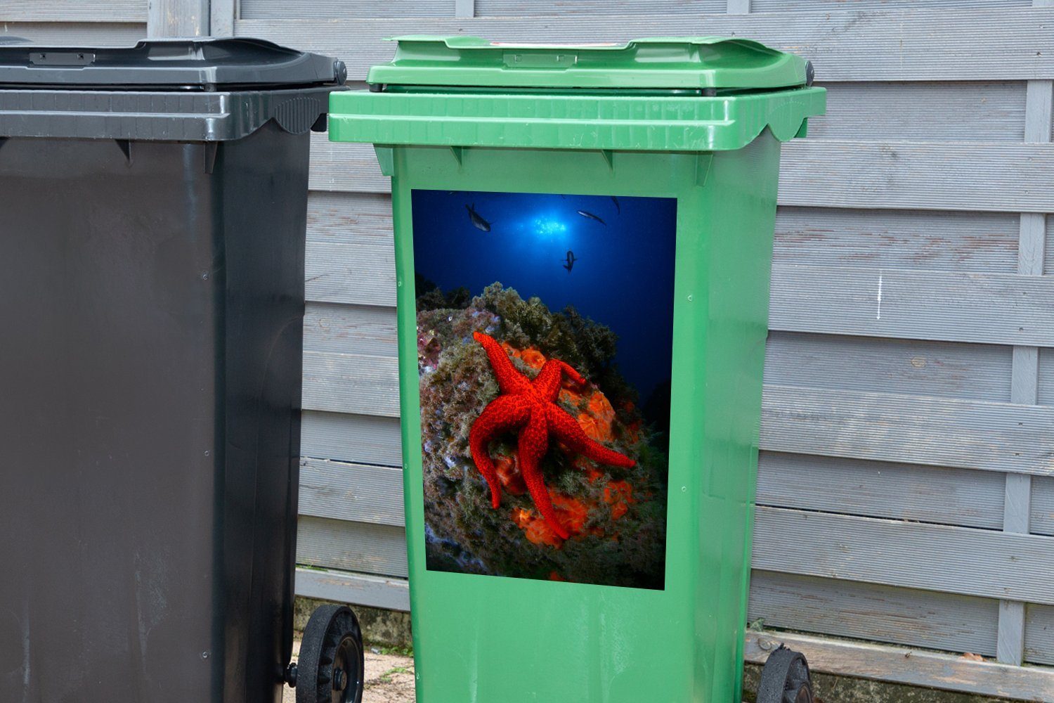 Wandsticker Seestern Abfalbehälter MuchoWow Container, Mülleimer-aufkleber, (1 Rot - Koralle Mülltonne, - St), Sticker,