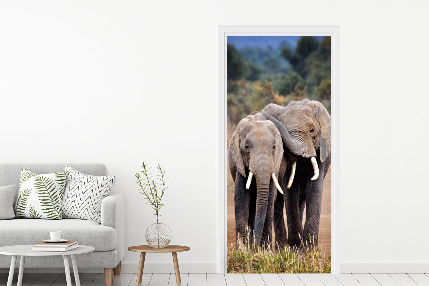 (1 Natur, Elefant - St), Tür, Fototapete für MuchoWow Matt, - - 75x205 Türaufkleber, Türtapete cm bedruckt, Tiere Bäume