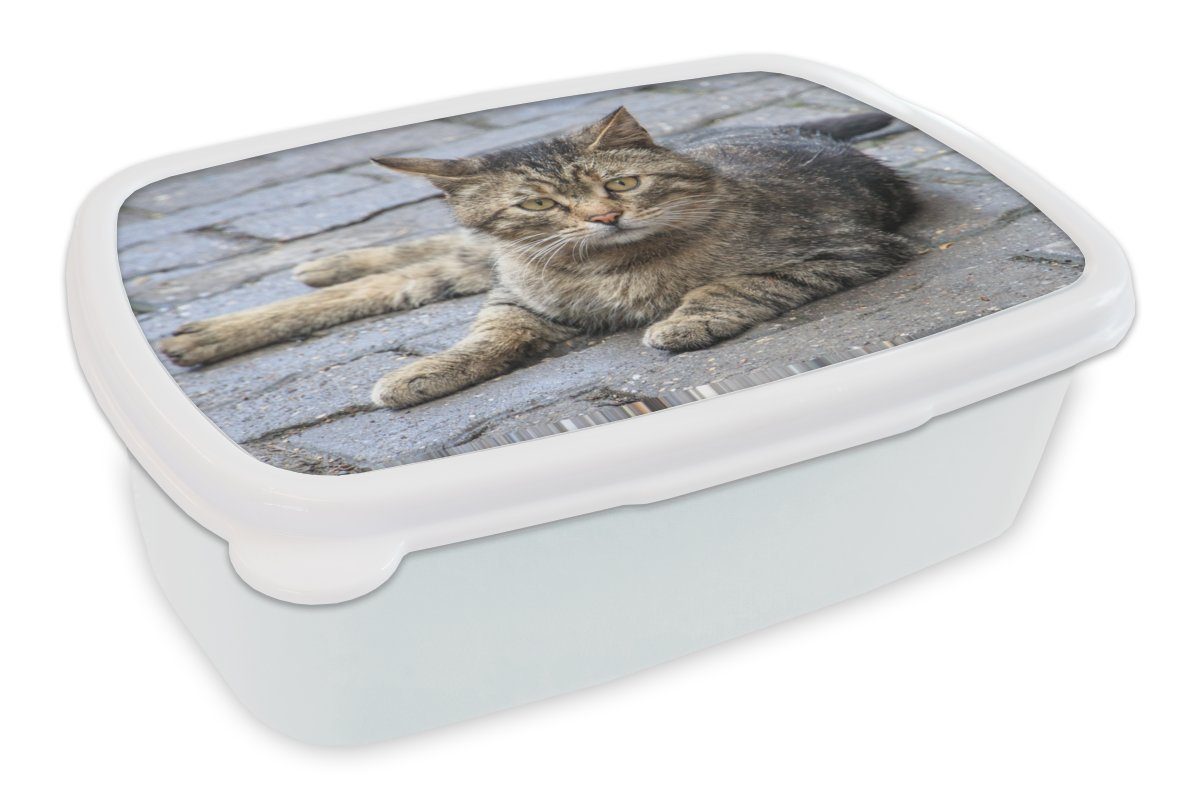 MuchoWow Lunchbox Katze - Tier - Braun - Mädchen - Kinder - Jungen - Kind, Kunststoff, (2-tlg), Brotbox für Kinder und Erwachsene, Brotdose, für Jungs und Mädchen weiß