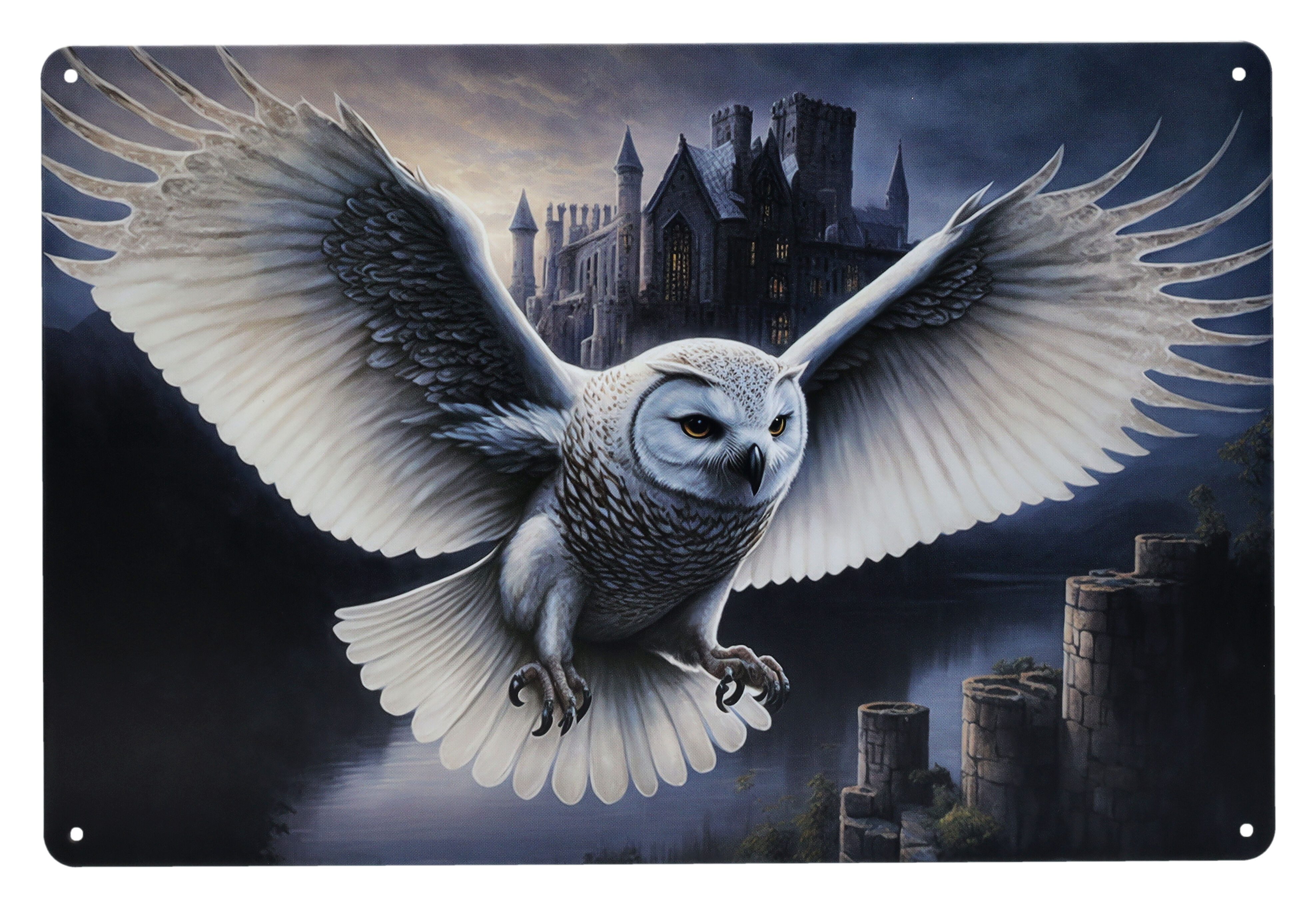 Figuren Shop GmbH Metallschild Blechschild - Eulen Bote - Metallschild Tier Motiv Dekoschild Deko