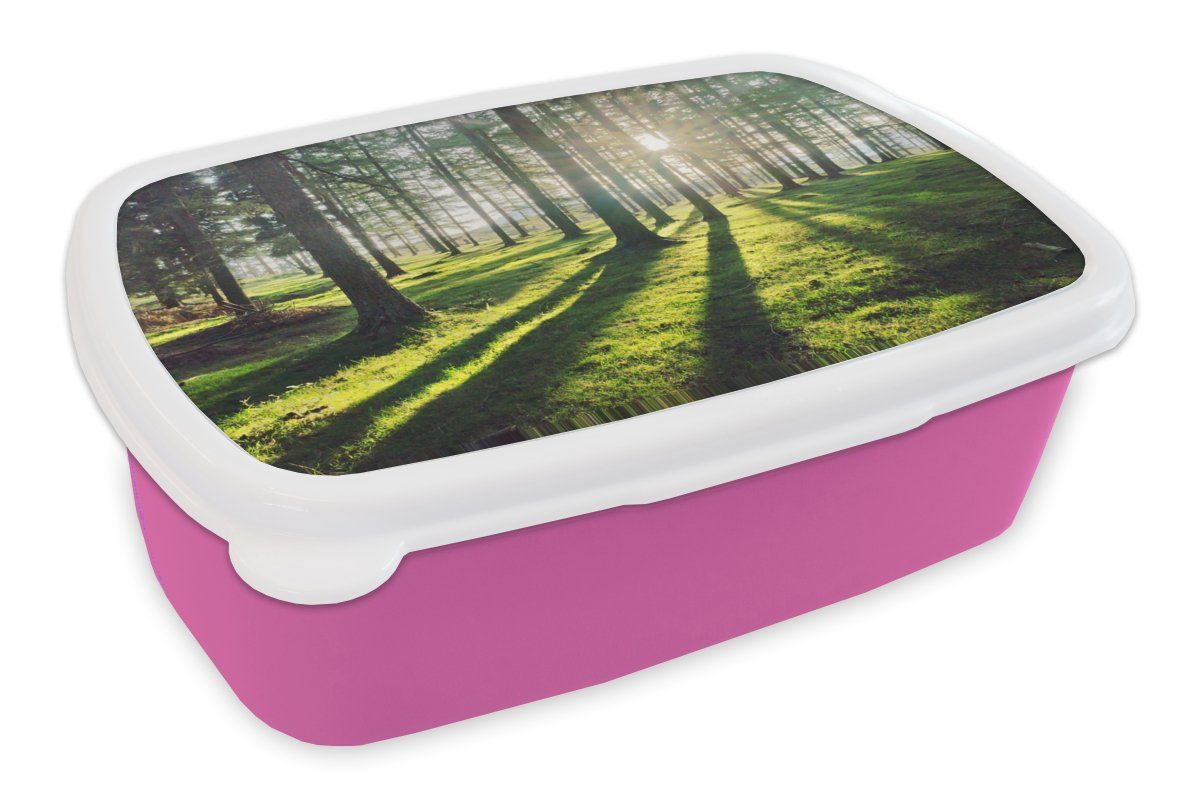 für - Brotdose Kunststoff Bäume rosa Erwachsene, Wald, Kinder, Brotbox - (2-tlg), Snackbox, Kunststoff, Natur MuchoWow Lunchbox Mädchen,